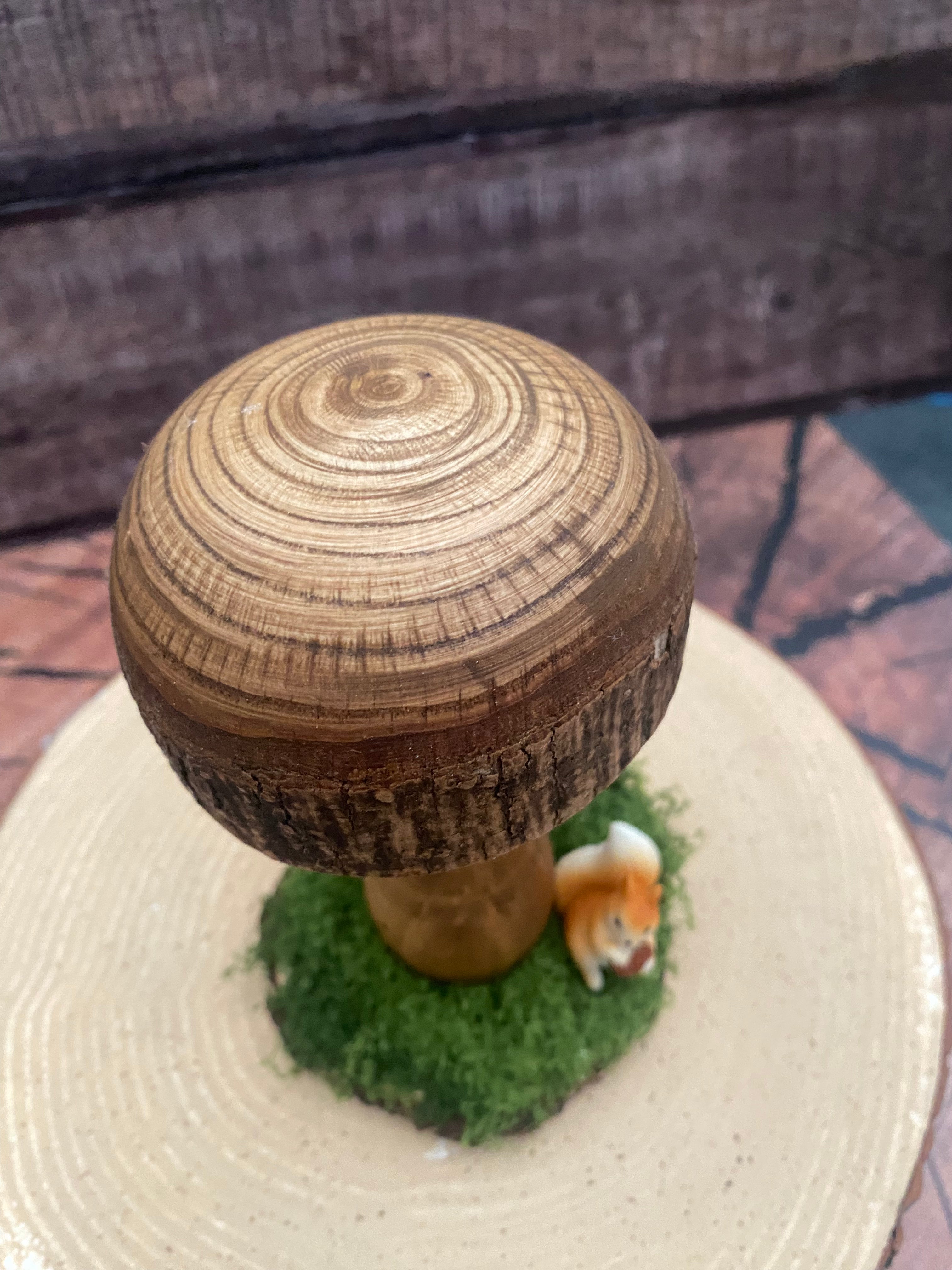 Natural wooden mushroom with squirrel