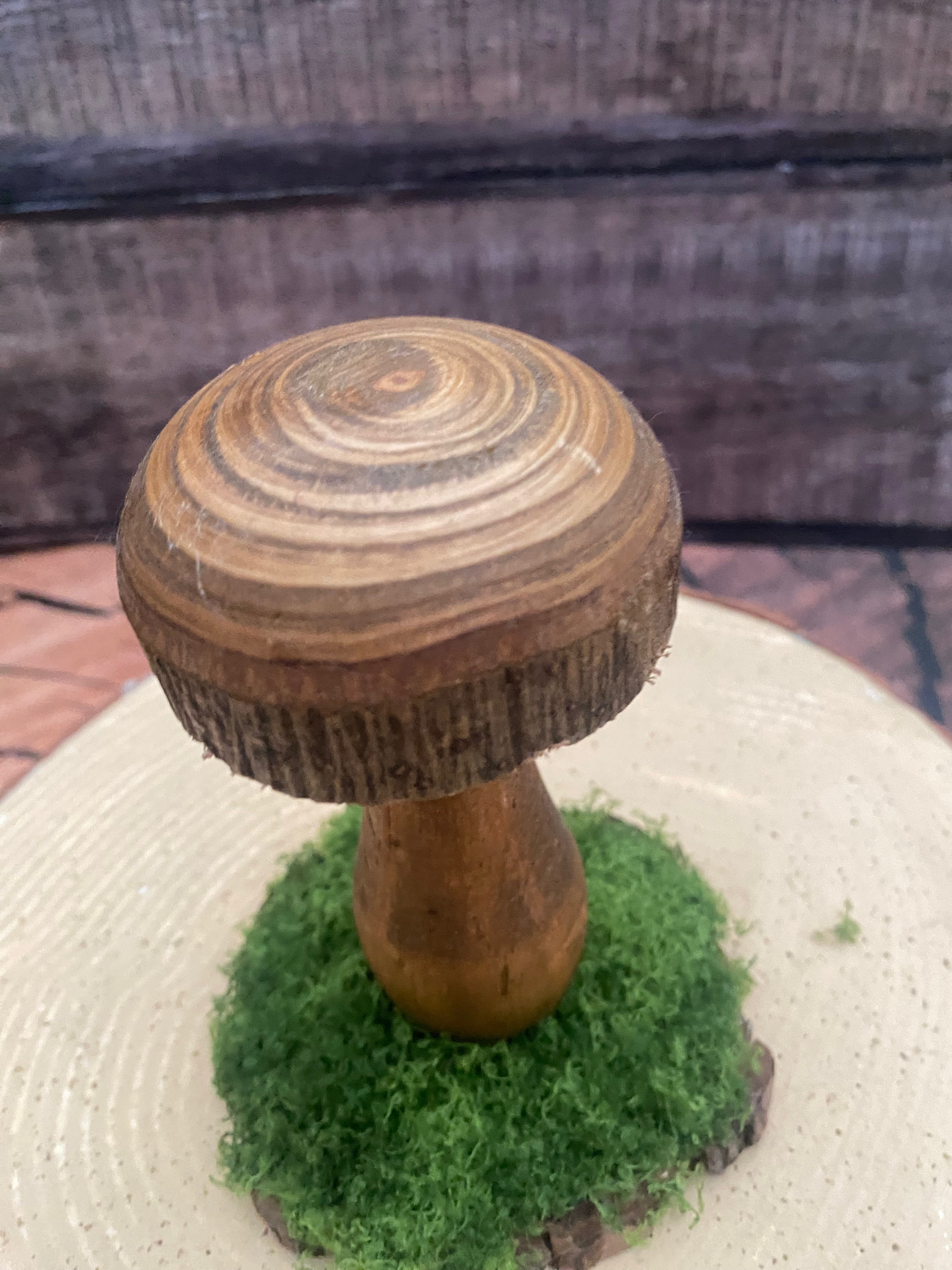 Medium natural mushroom