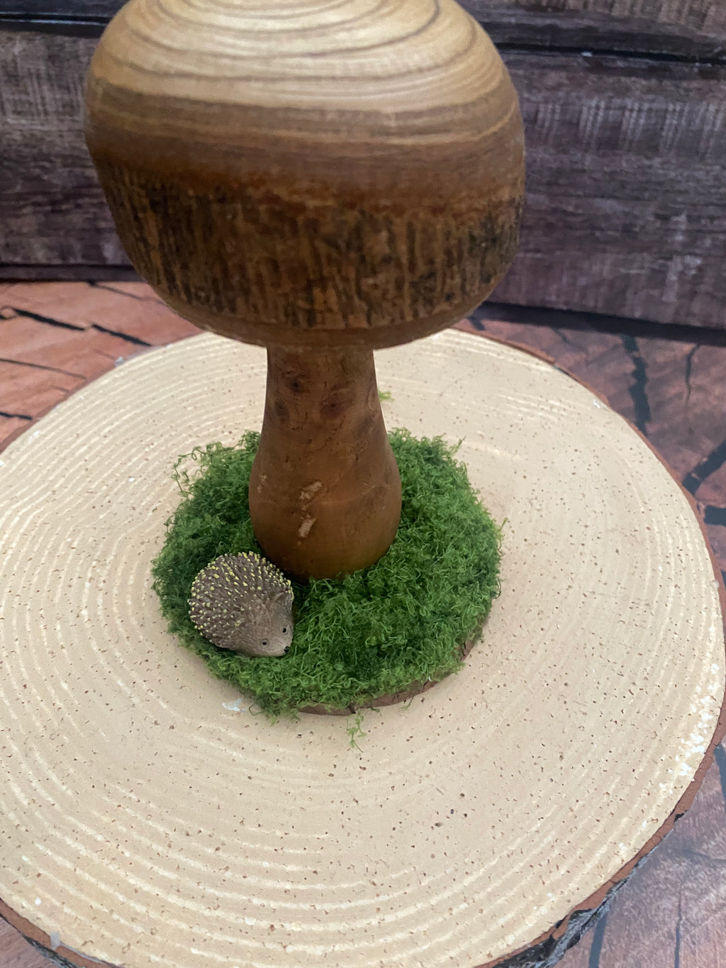 Medium natural mushroom with hedgehog