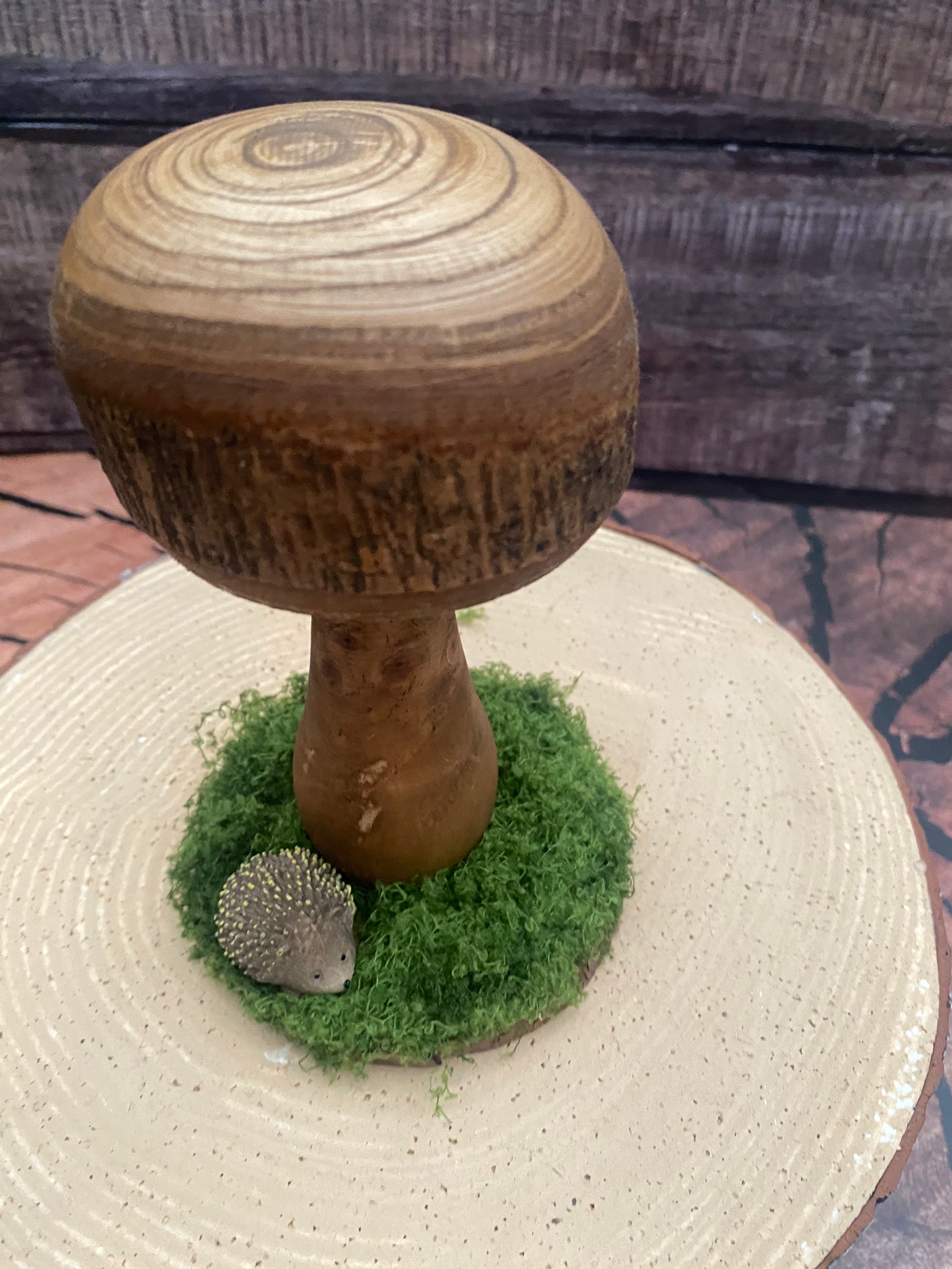 Medium natural mushroom with hedgehog