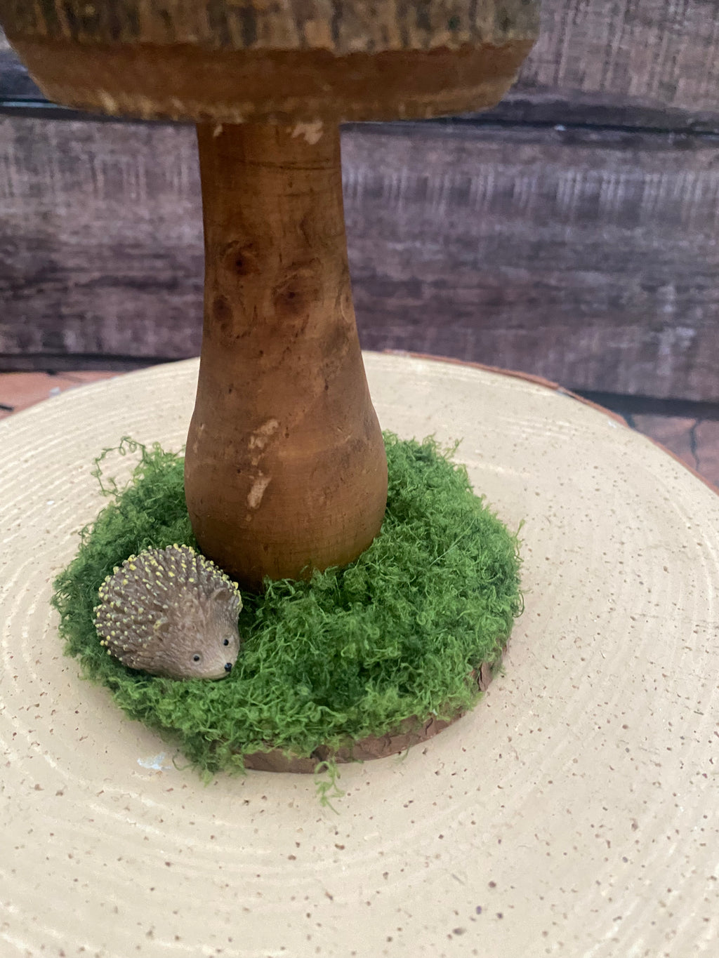 Medium natural mushroom with hedgehog