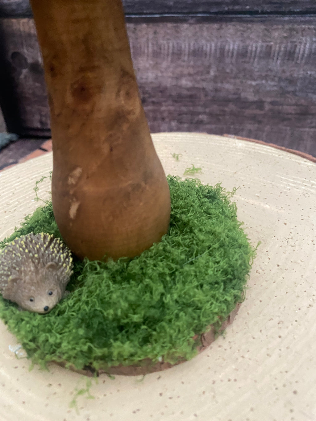 Medium natural mushroom with hedgehog