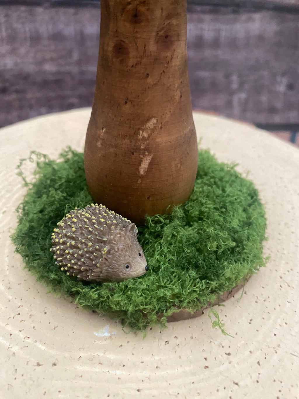 Medium natural mushroom with hedgehog