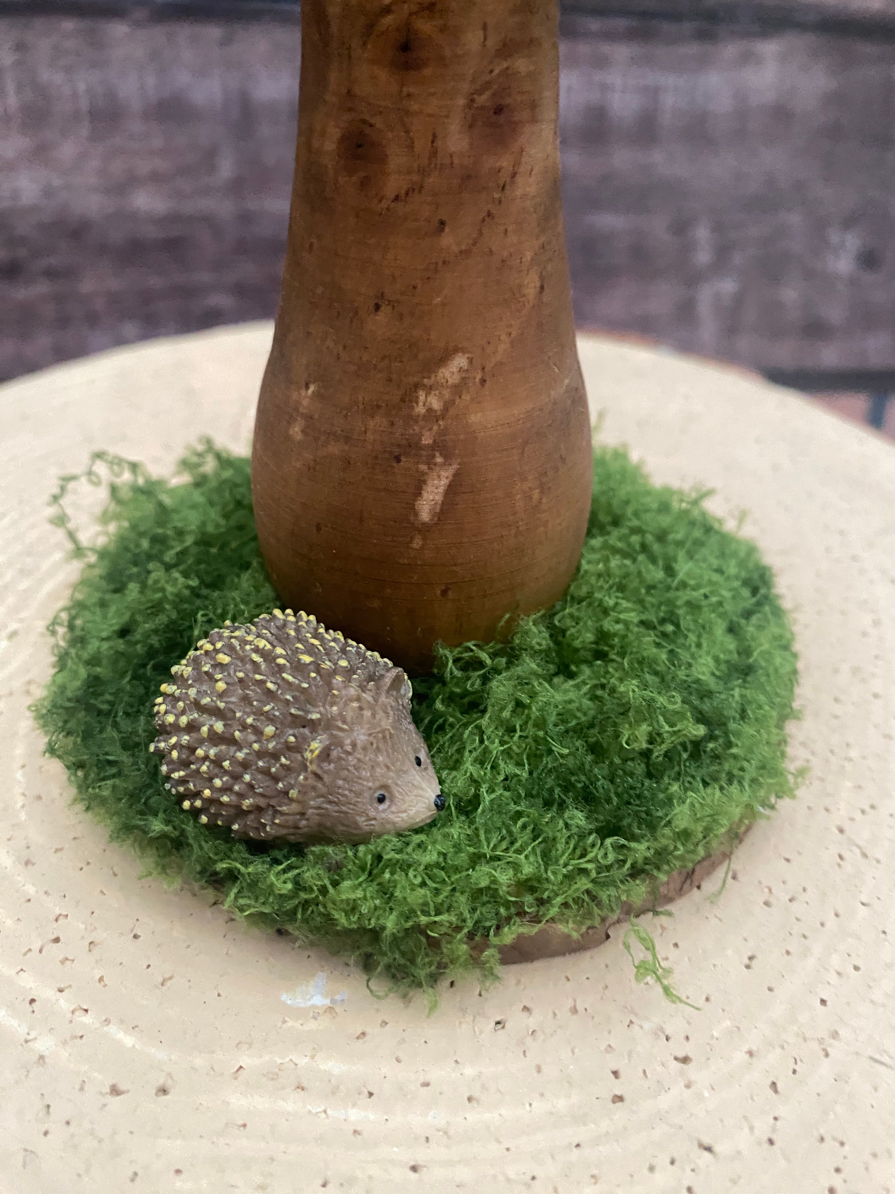 Medium natural mushroom with hedgehog