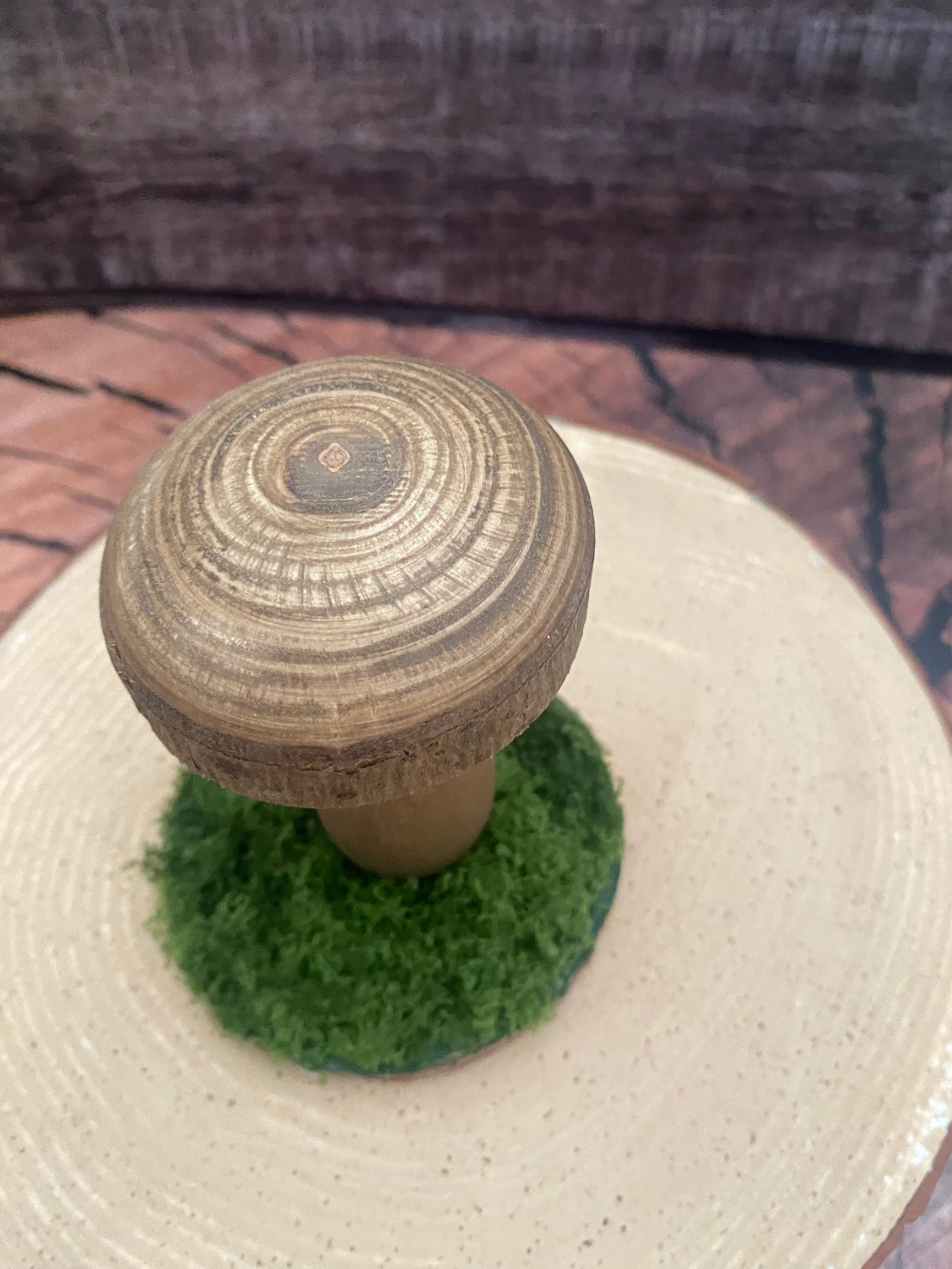 Small natural wooden mushroom