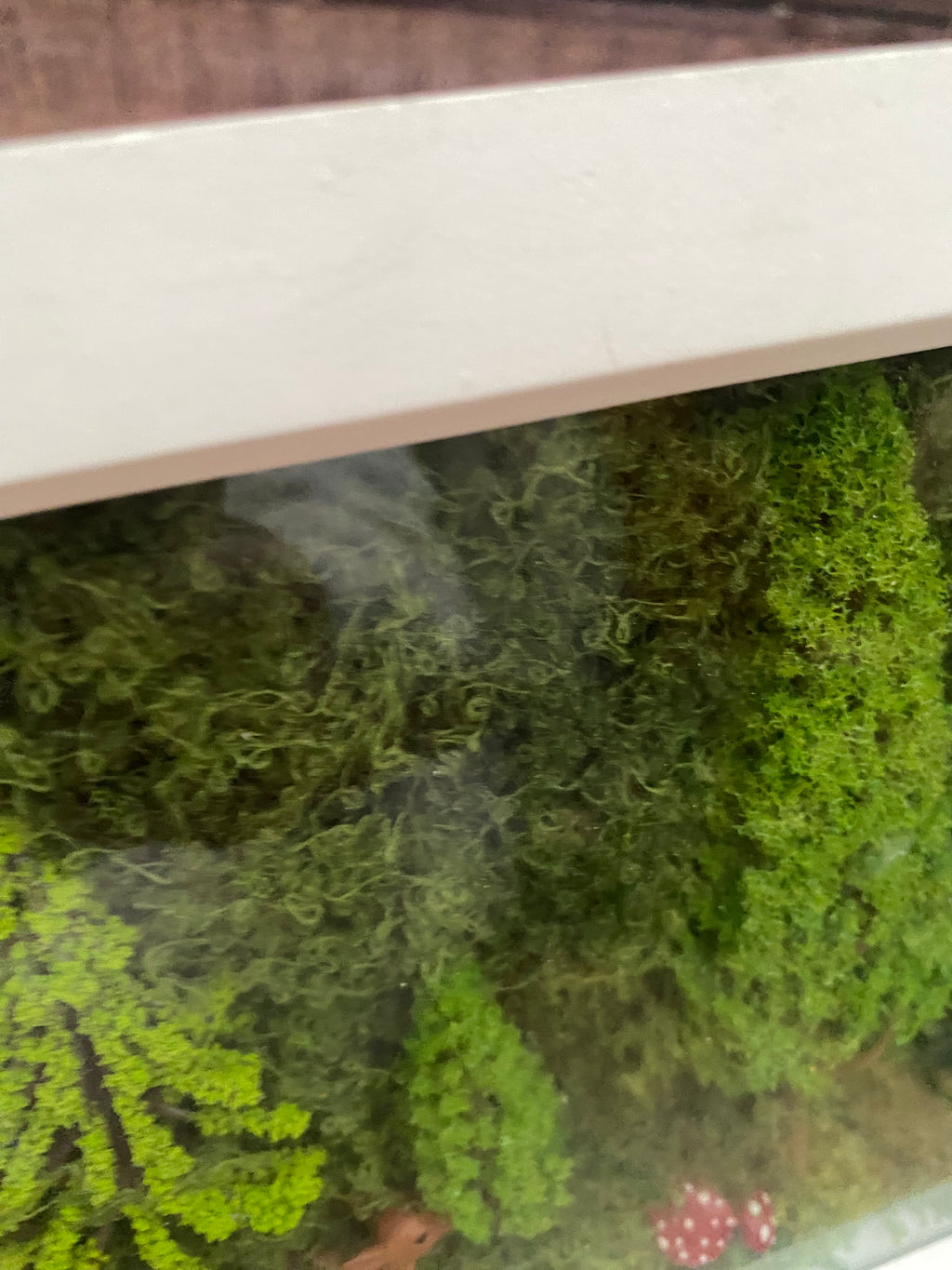 Shadow box forest scene in square frames