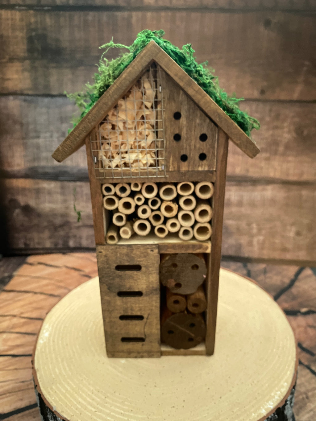 Mossy roofed Insect Hotel