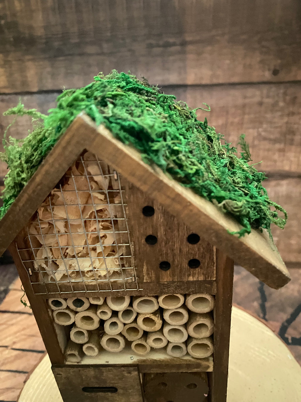 Mossy roofed Insect Hotel