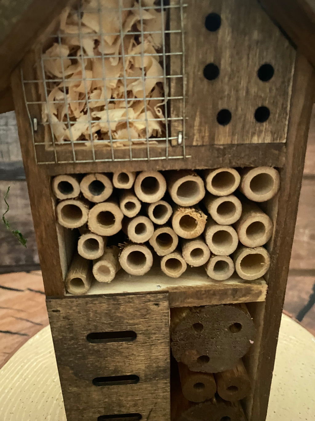 Mossy roofed Insect Hotel