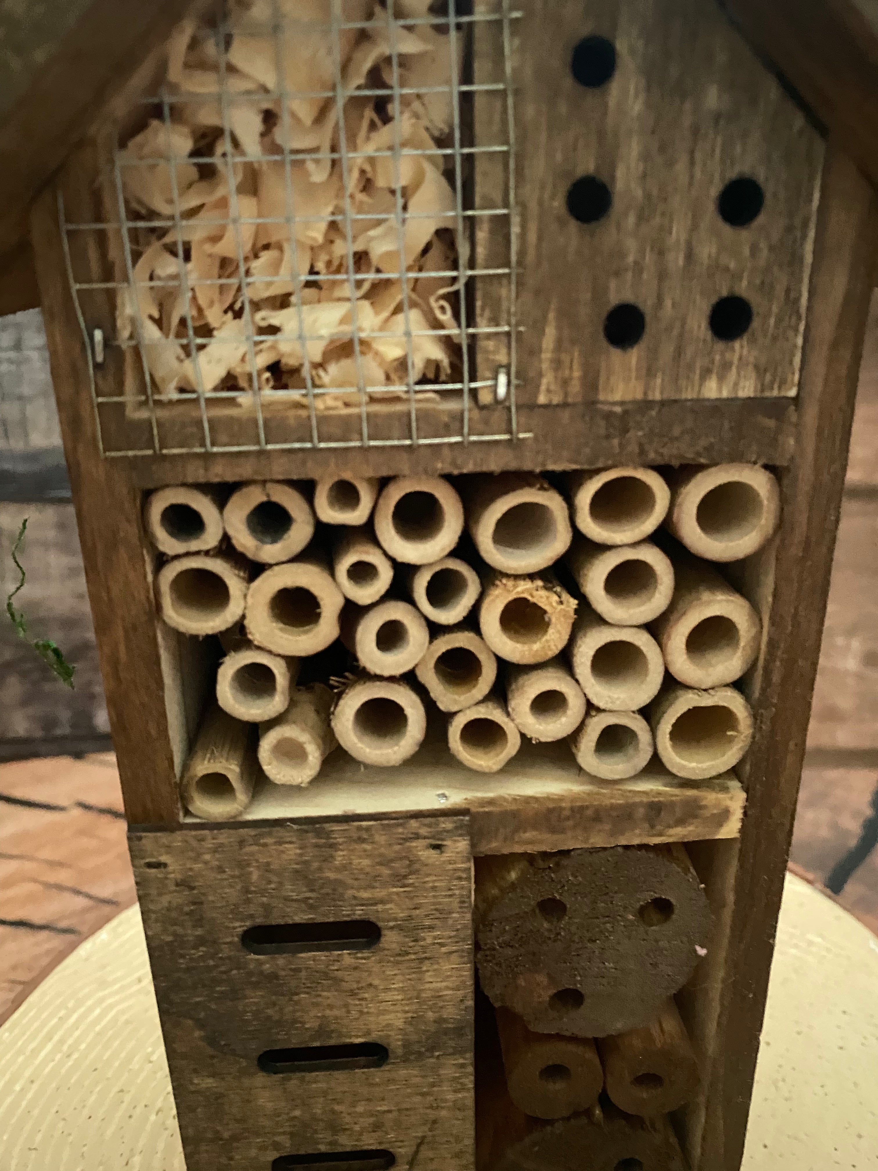 Mossy roofed Insect Hotel