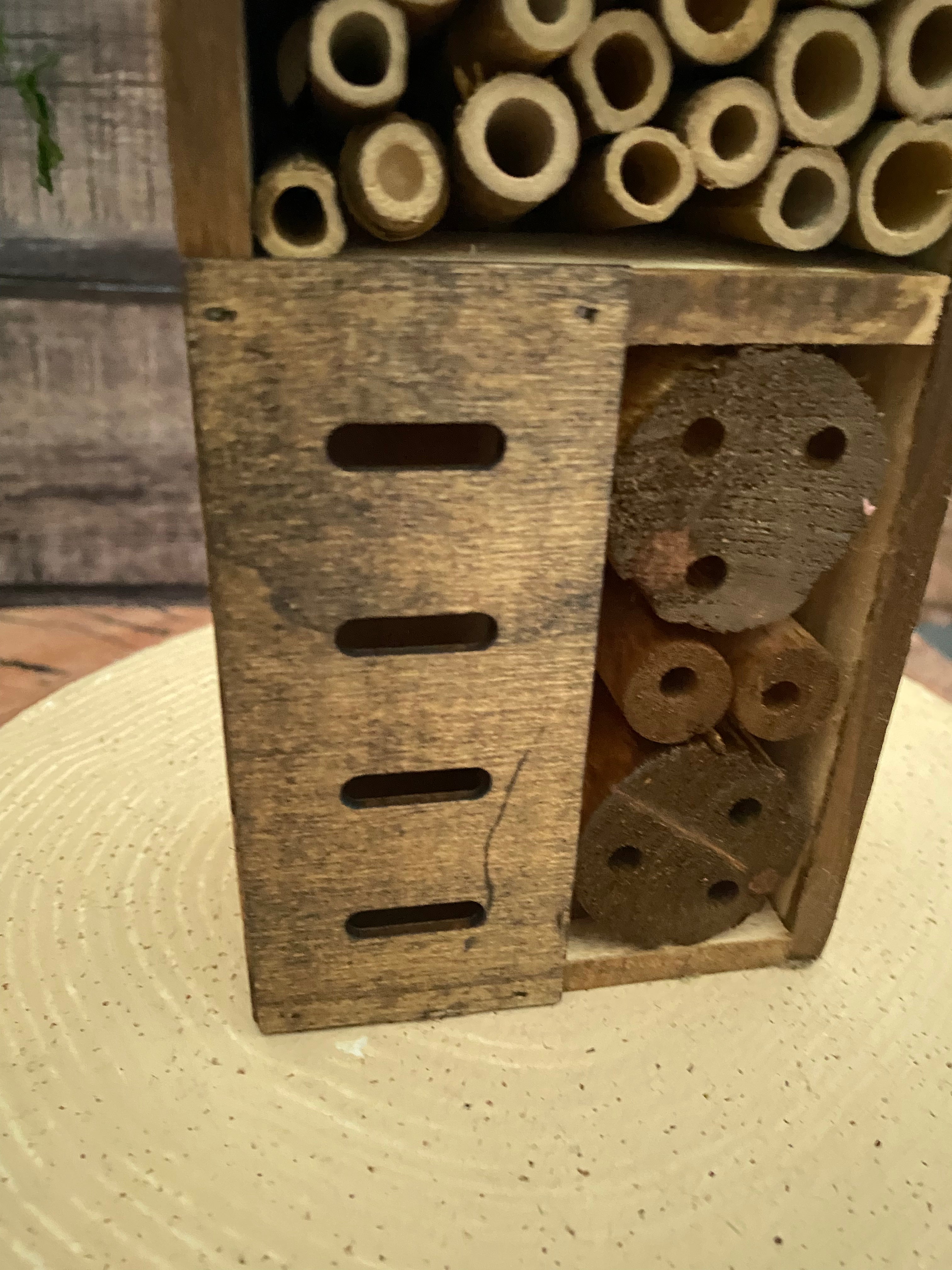 Mossy roofed Insect Hotel