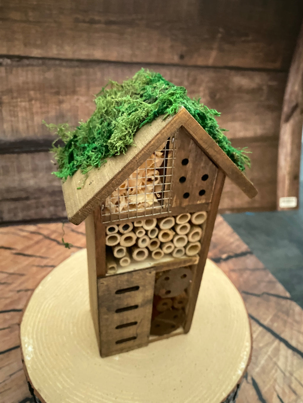 Mossy roofed Insect Hotel