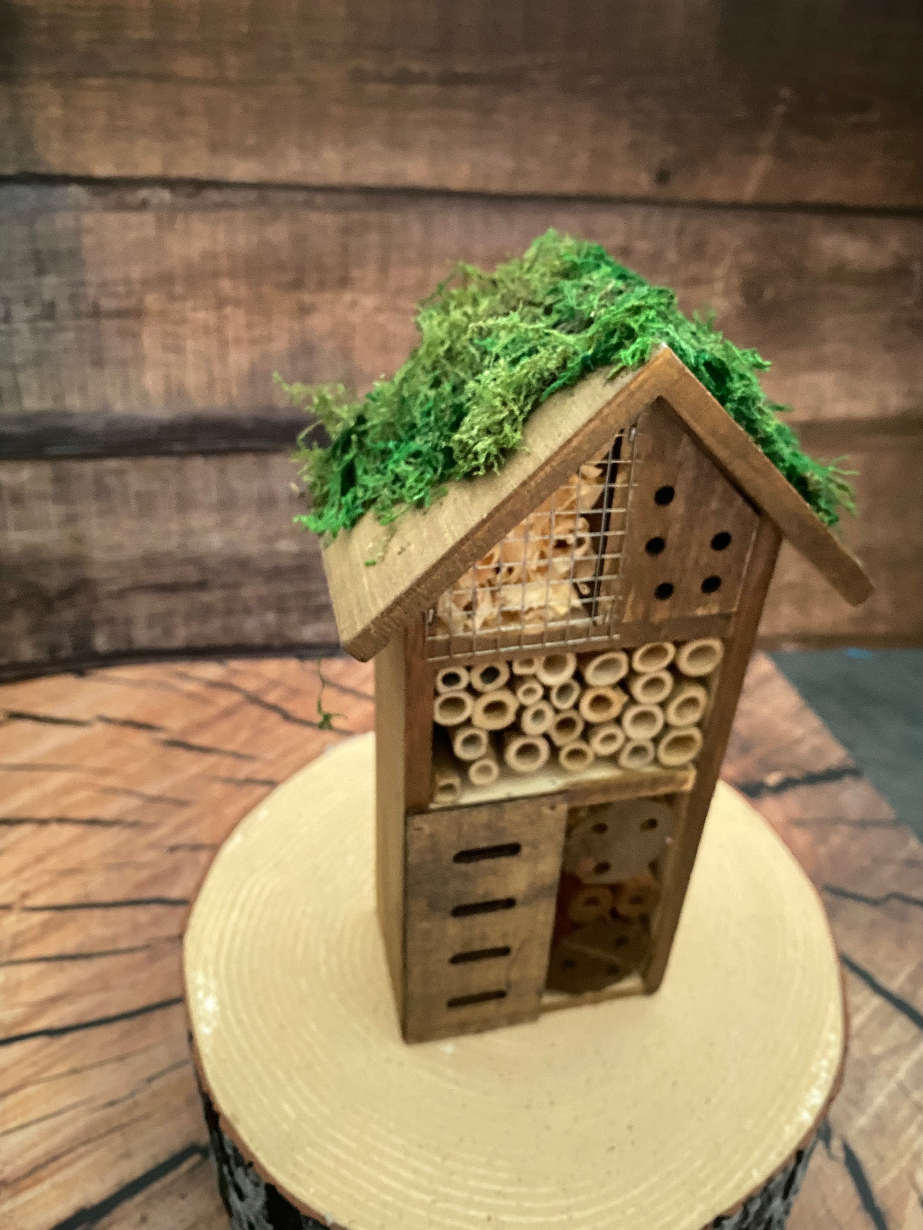 Mossy roofed Insect Hotel