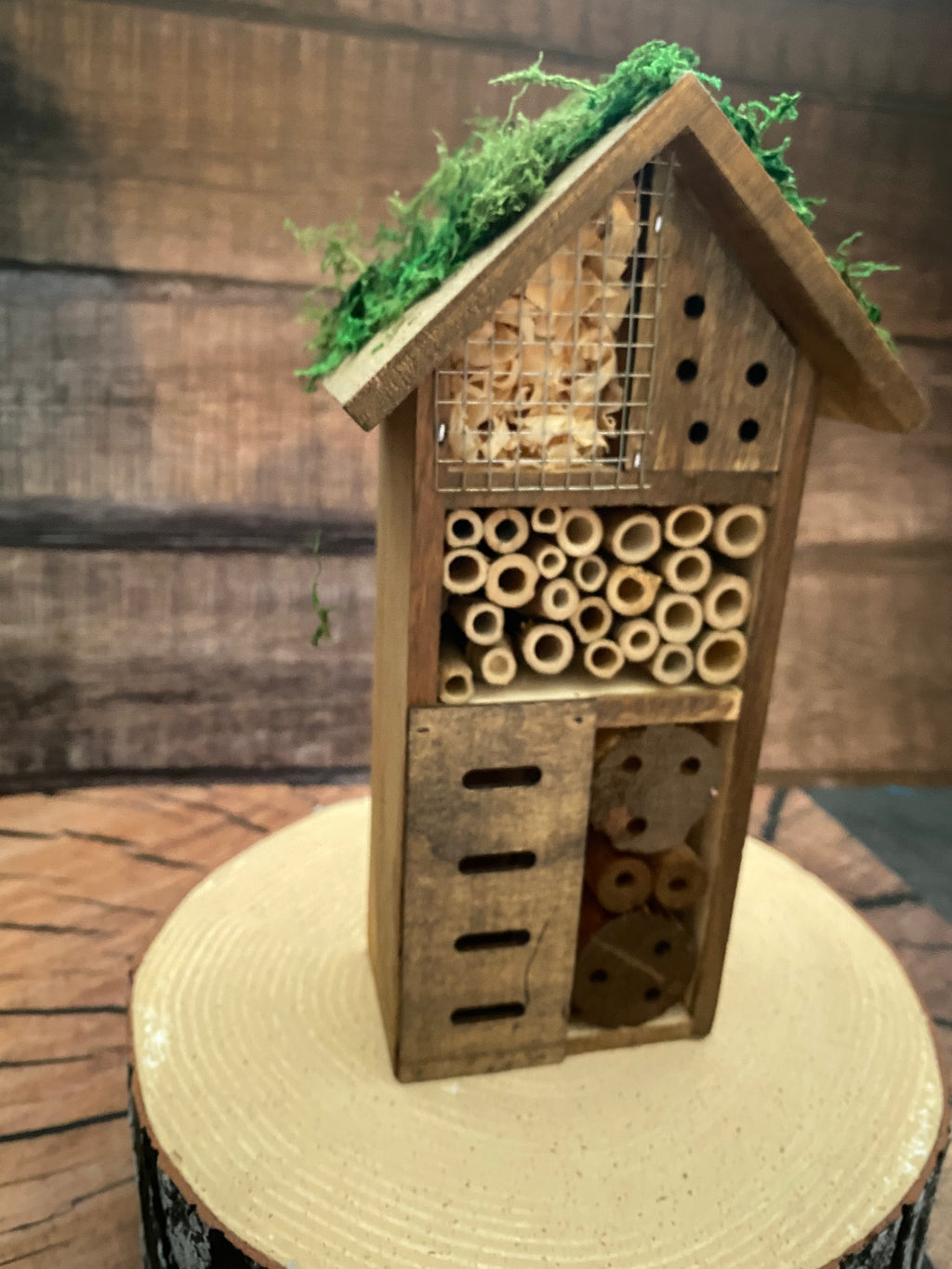 Mossy roofed Insect Hotel