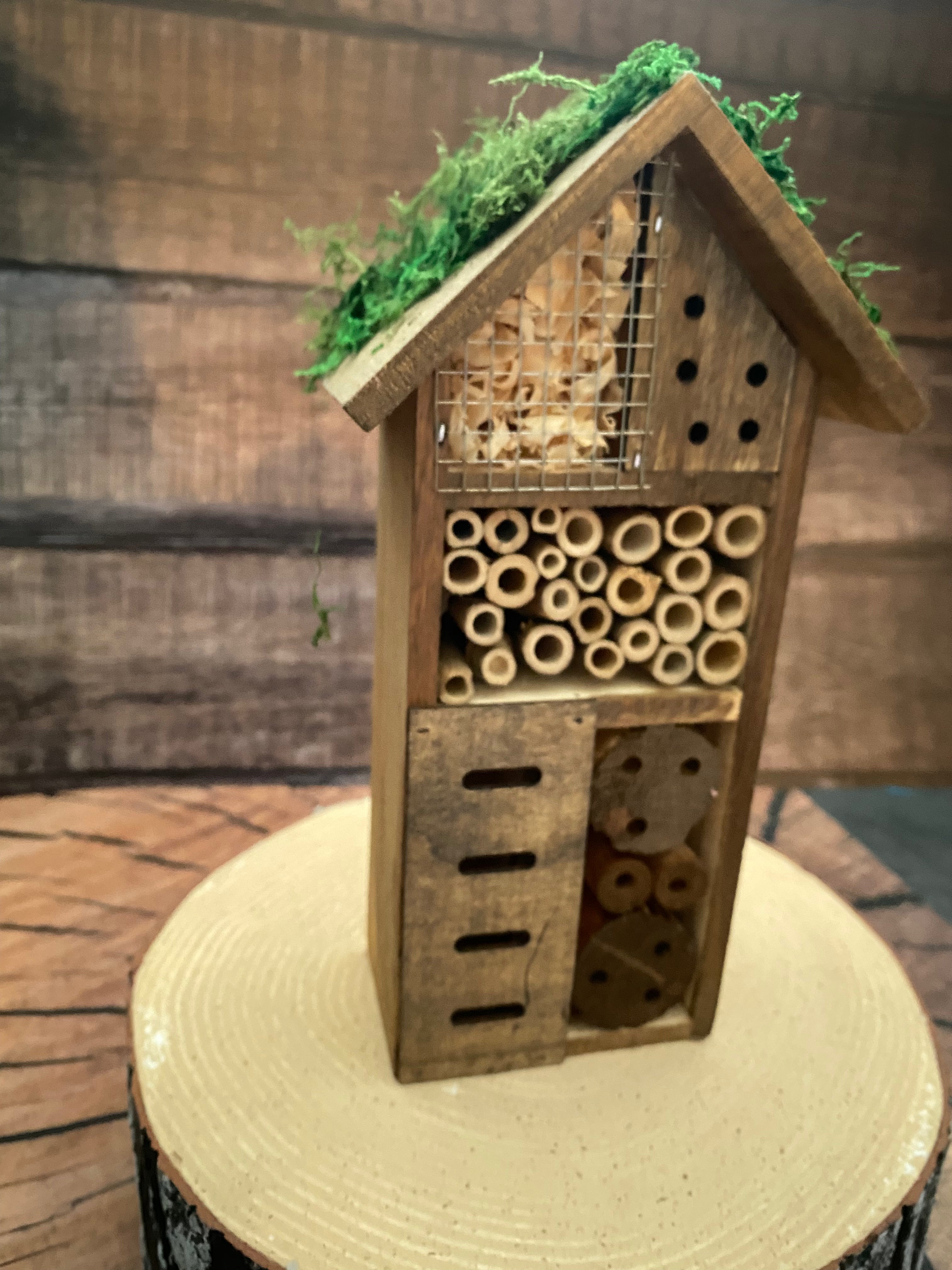 Mossy roofed Insect Hotel