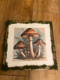 Square stick and moss frame