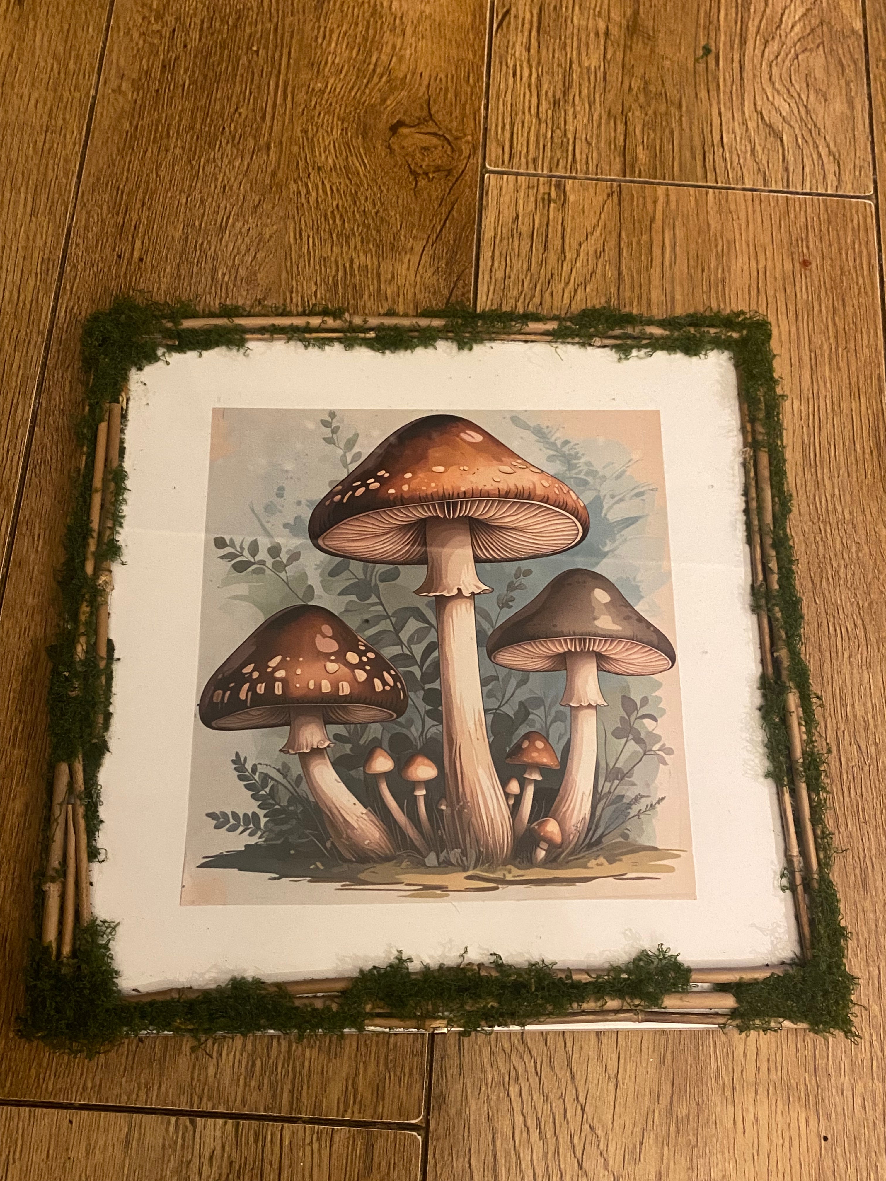 Square stick and moss frame