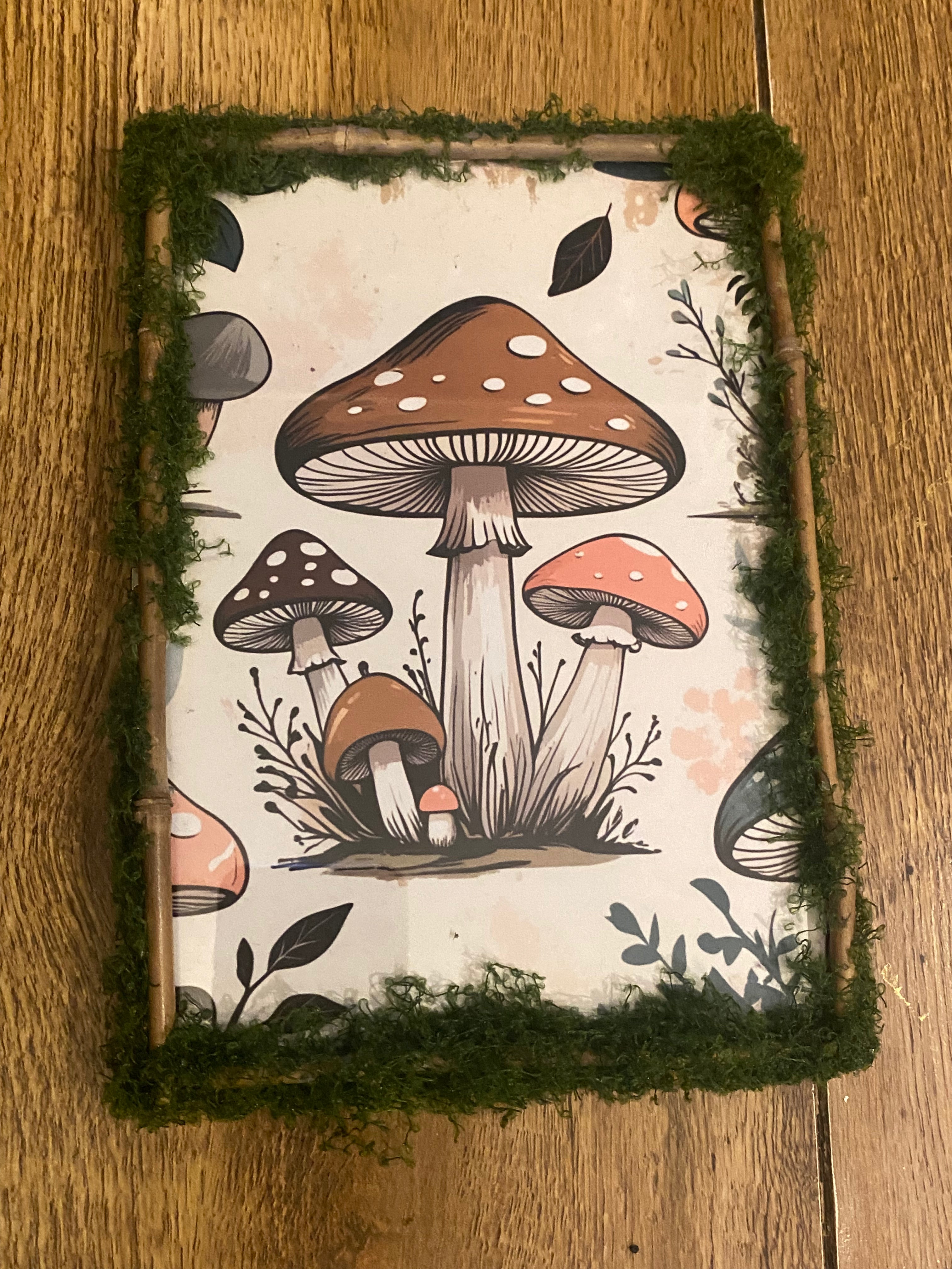 Small stick and moss frame