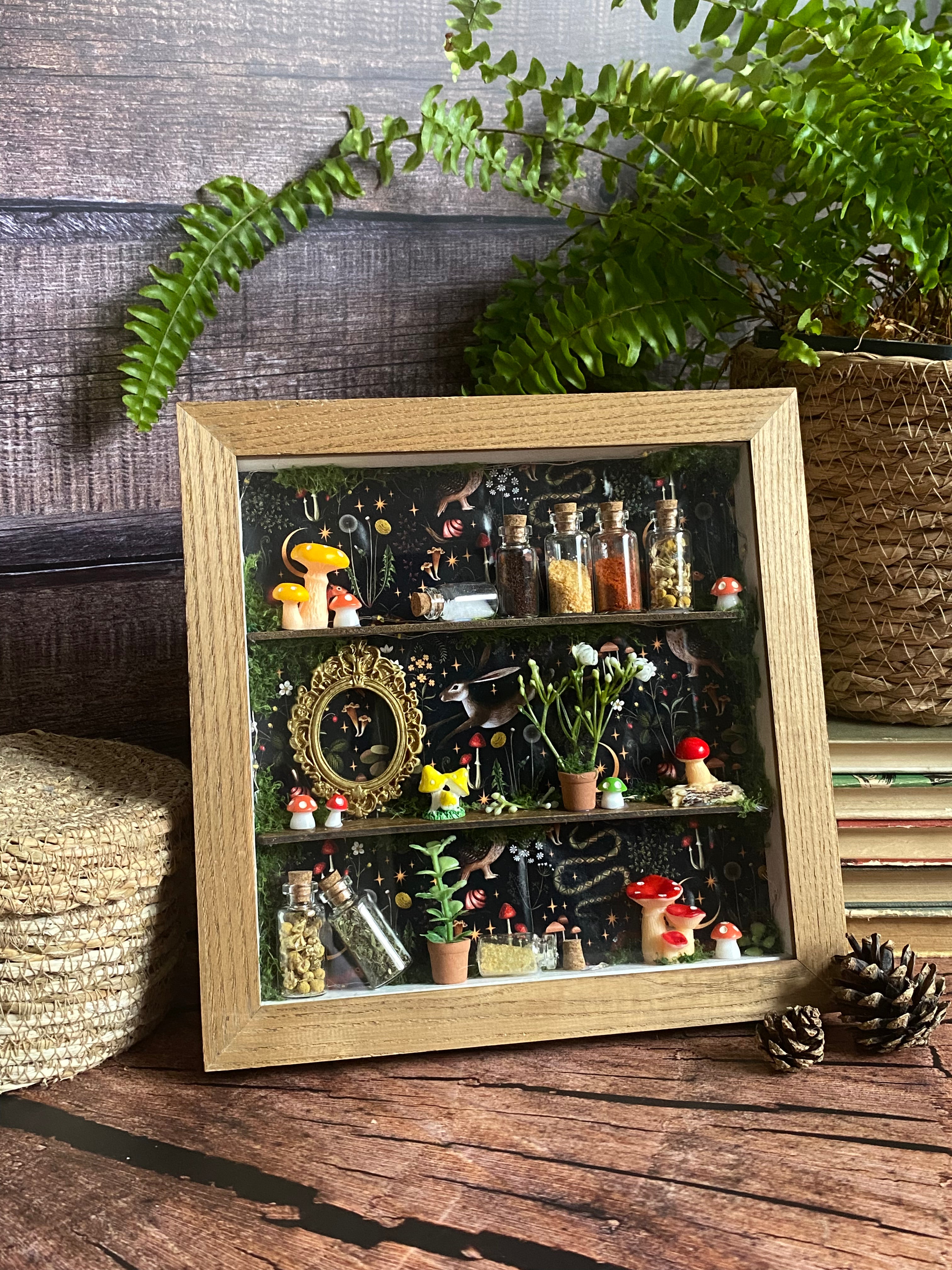 The Starlit Apothecary Shelves