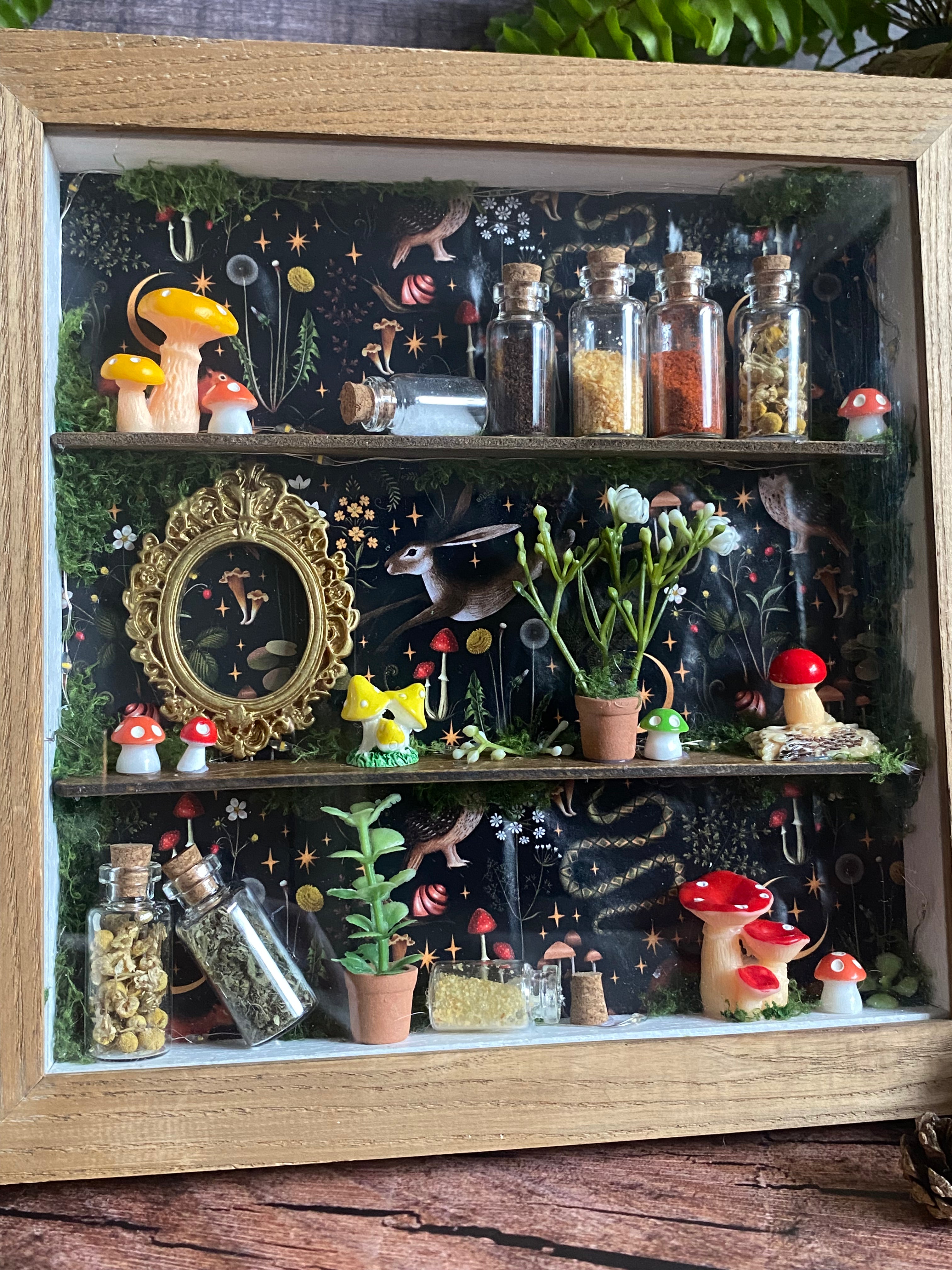 The Starlit Apothecary Shelves
