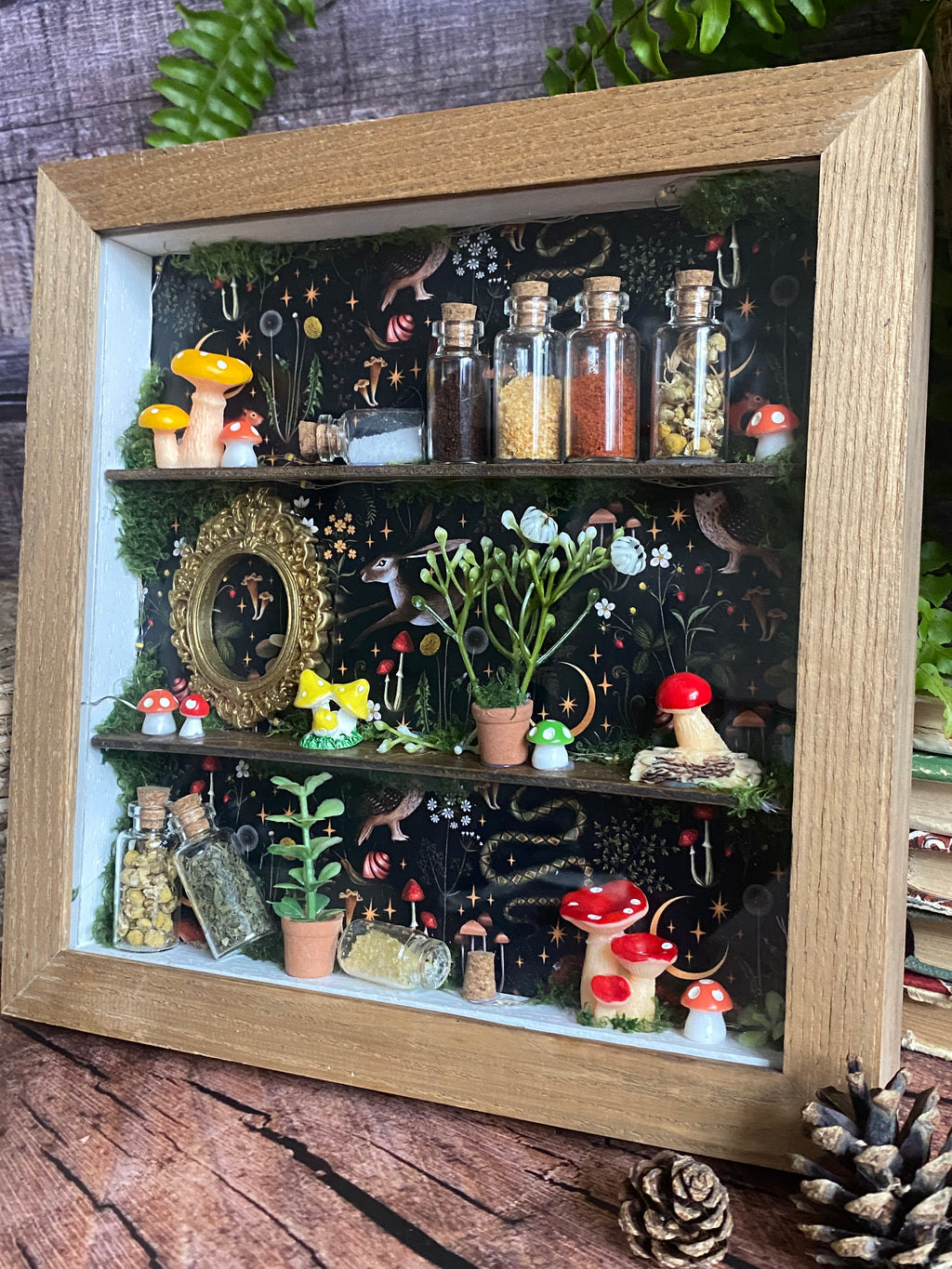 The Starlit Apothecary Shelves