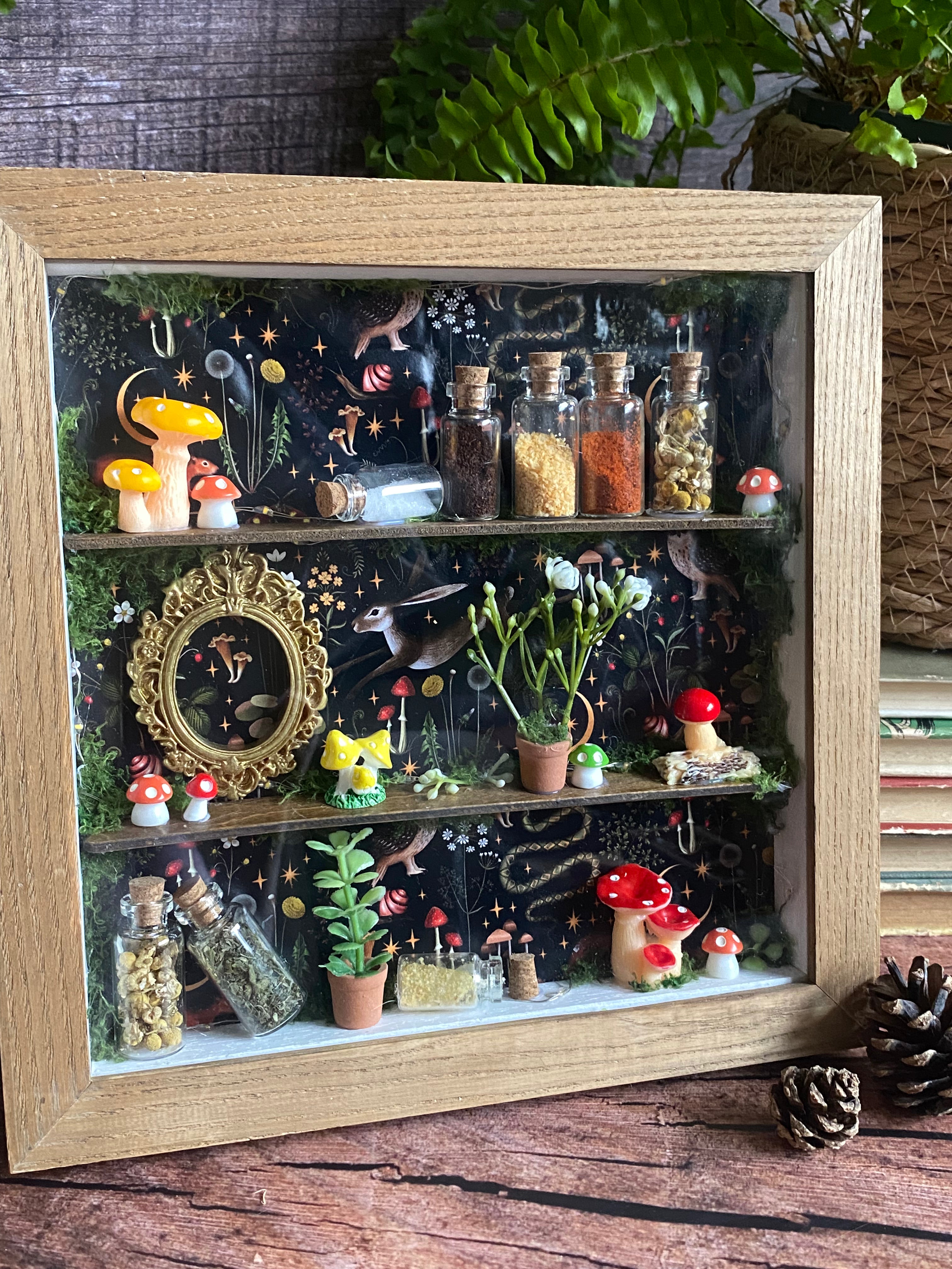 The Starlit Apothecary Shelves