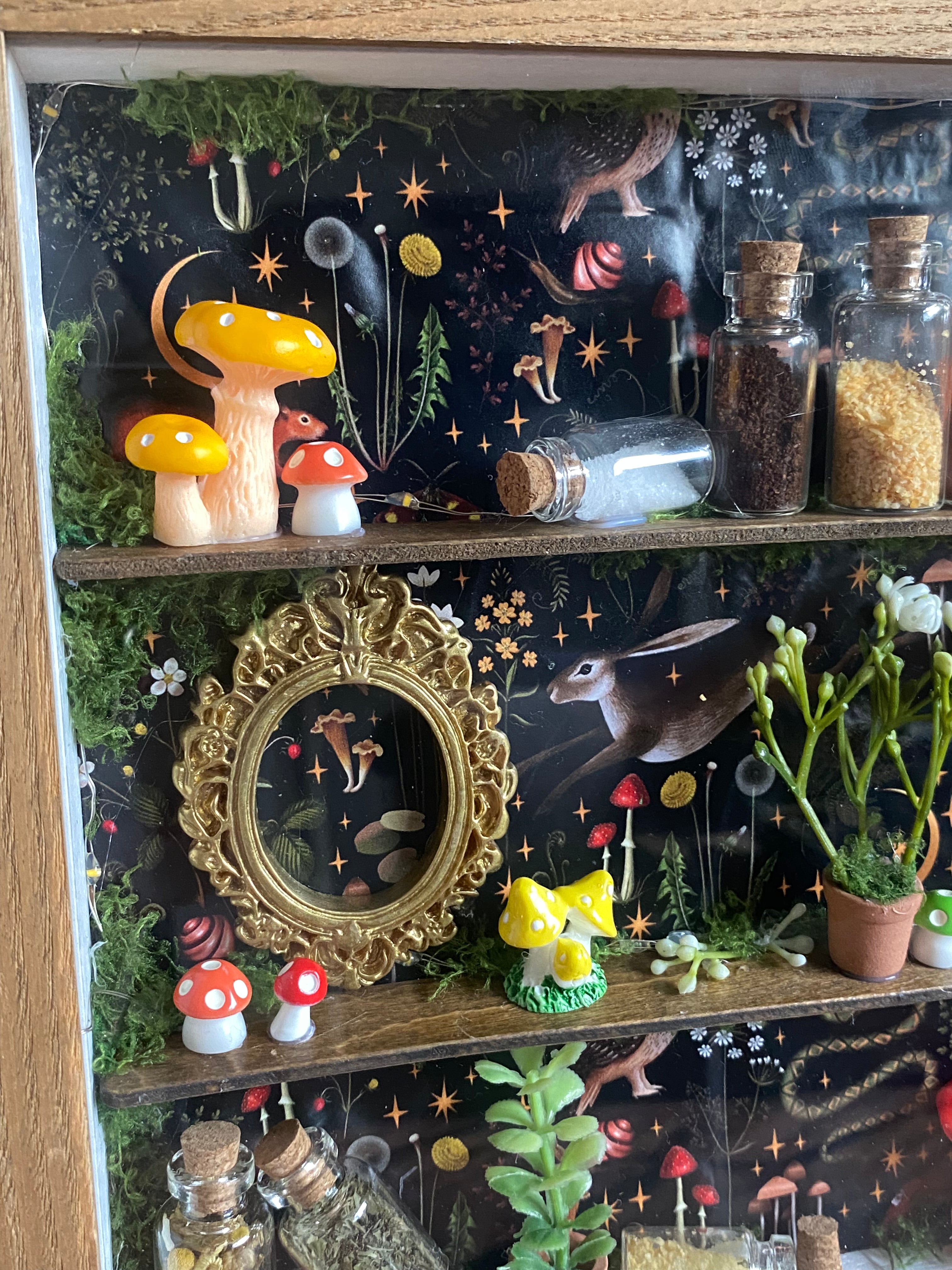The Starlit Apothecary Shelves