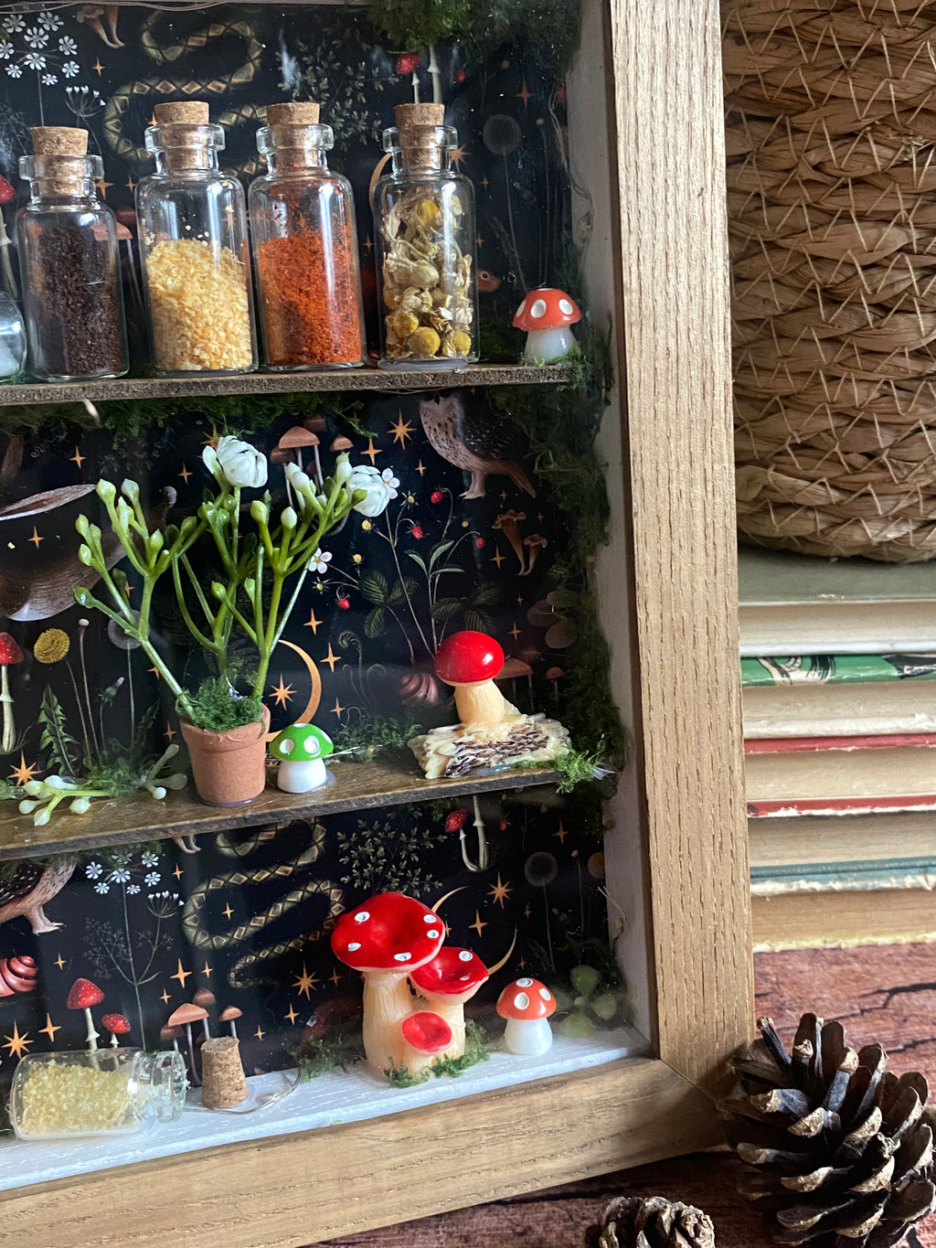 The Starlit Apothecary Shelves