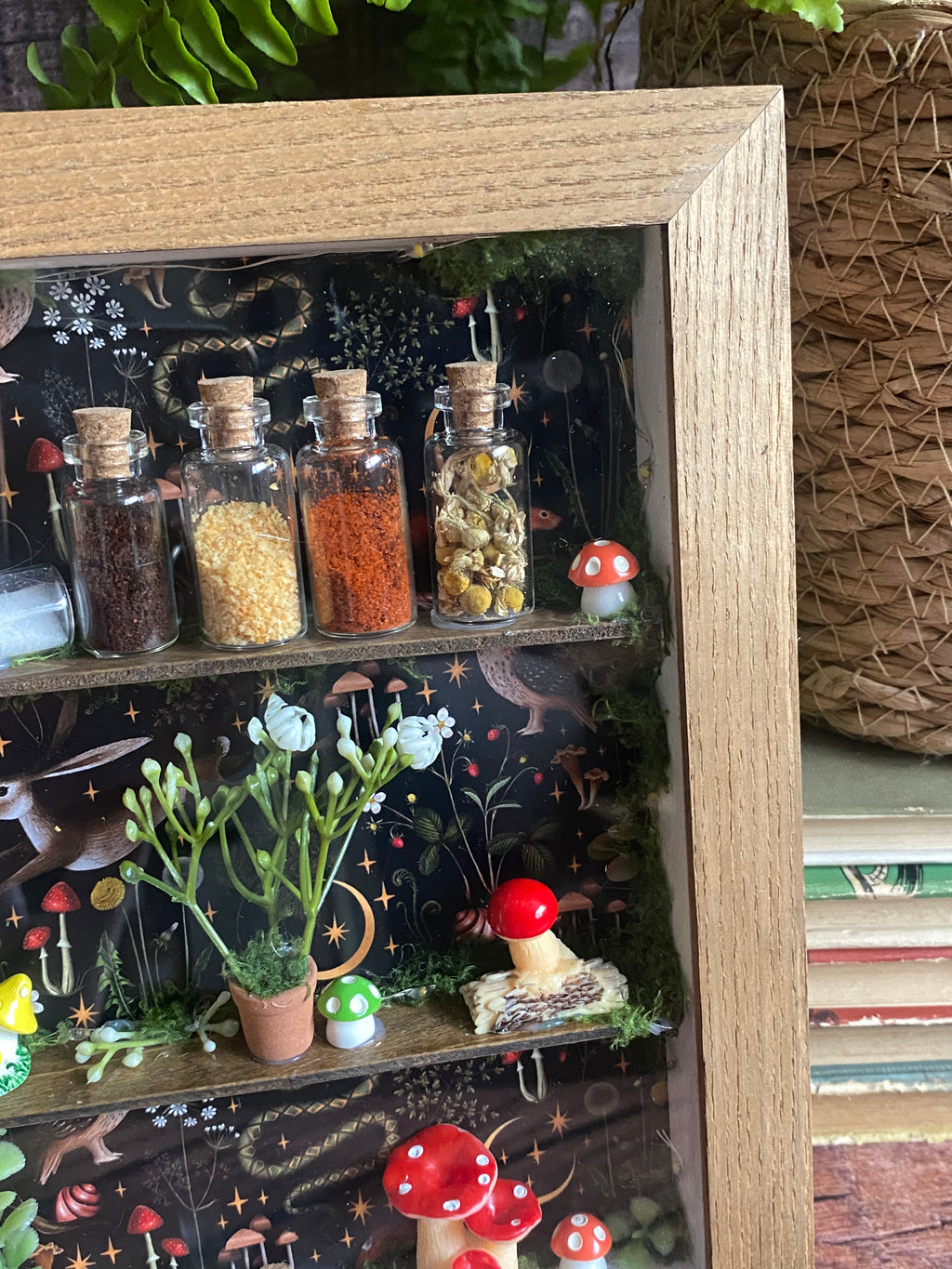 The Starlit Apothecary Shelves