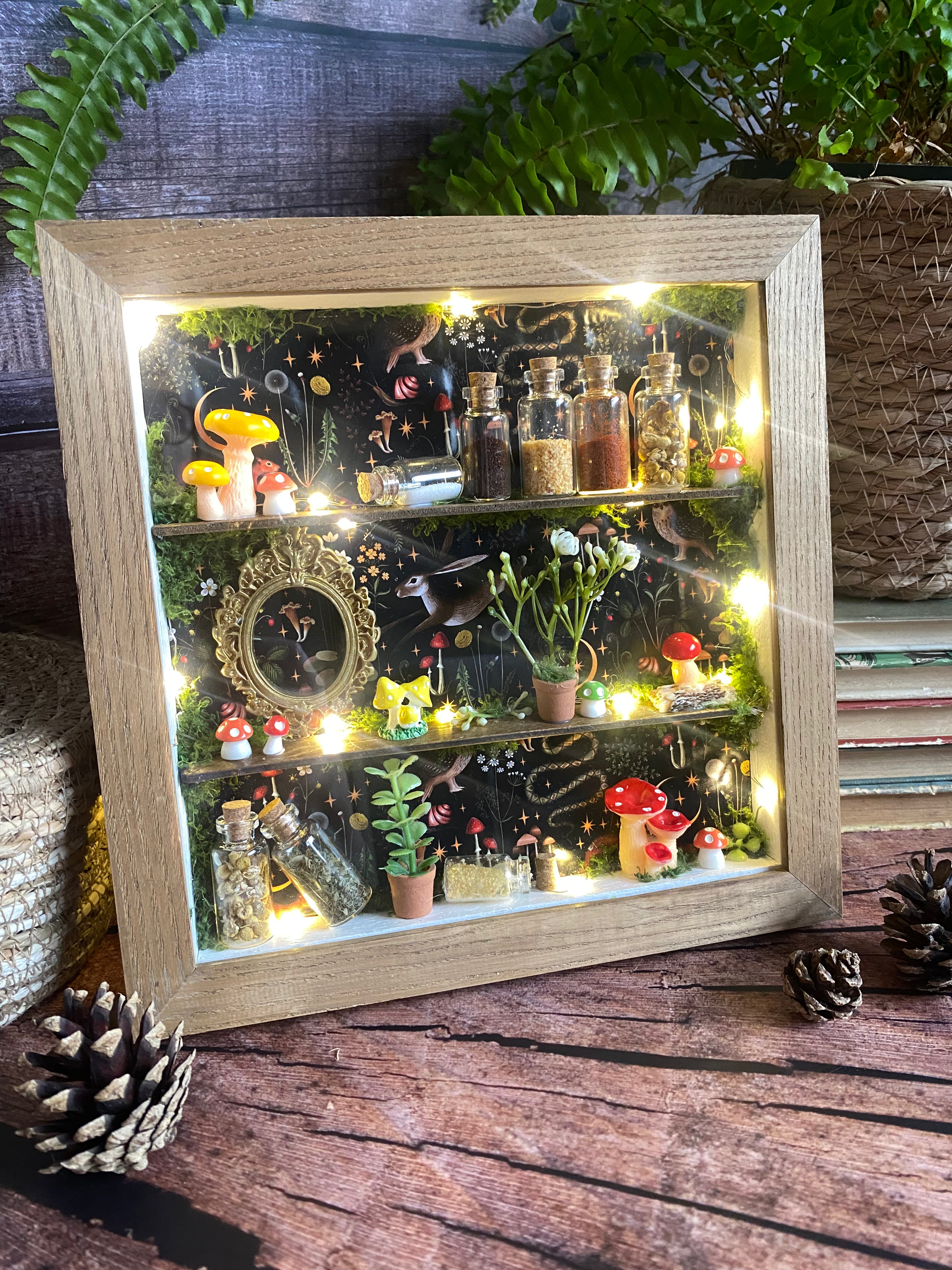 The Starlit Apothecary Shelves