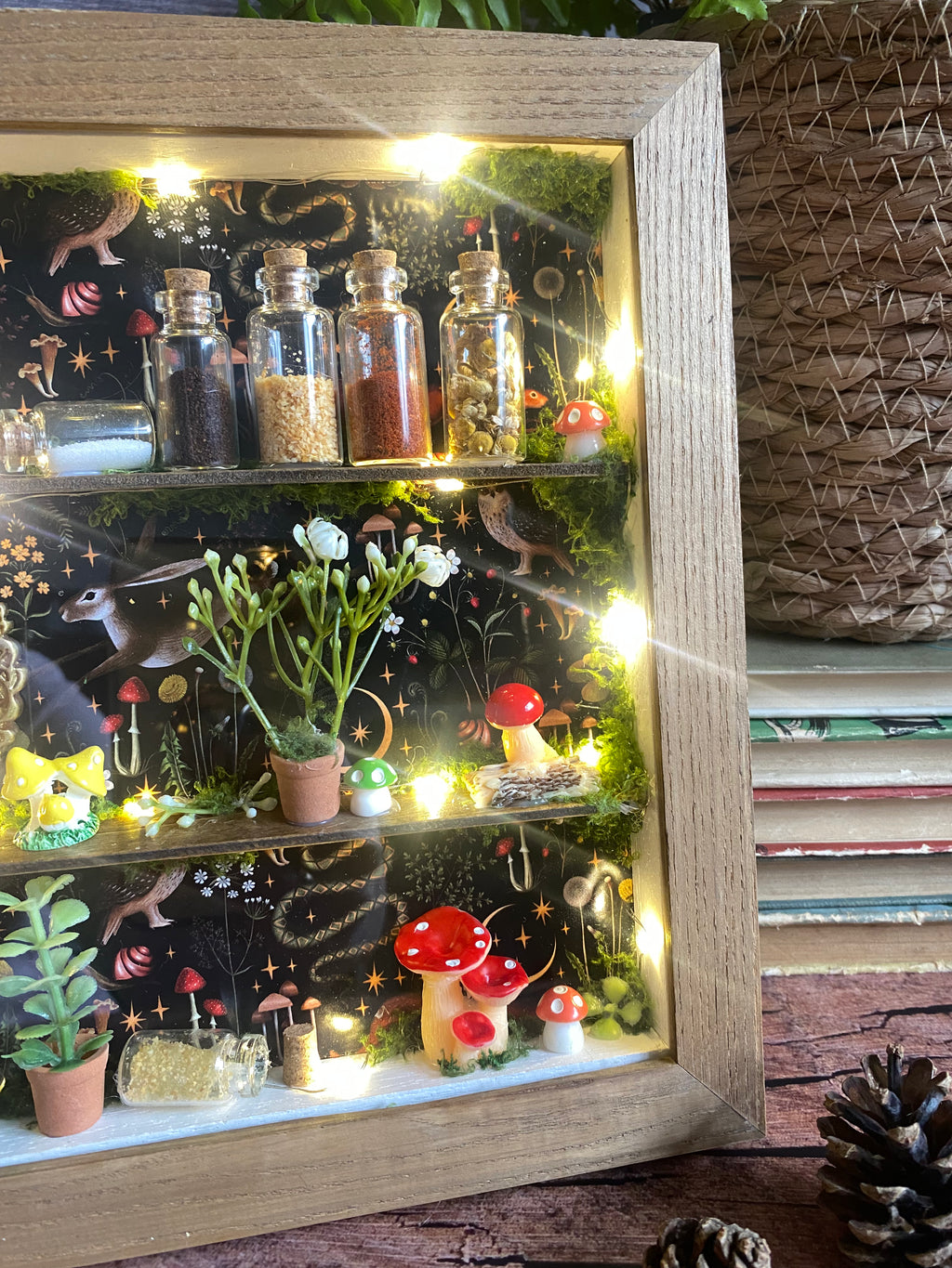 The Starlit Apothecary Shelves