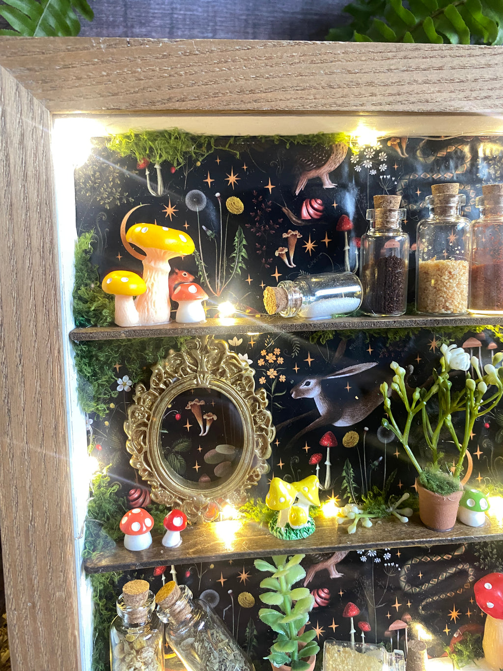 The Starlit Apothecary Shelves