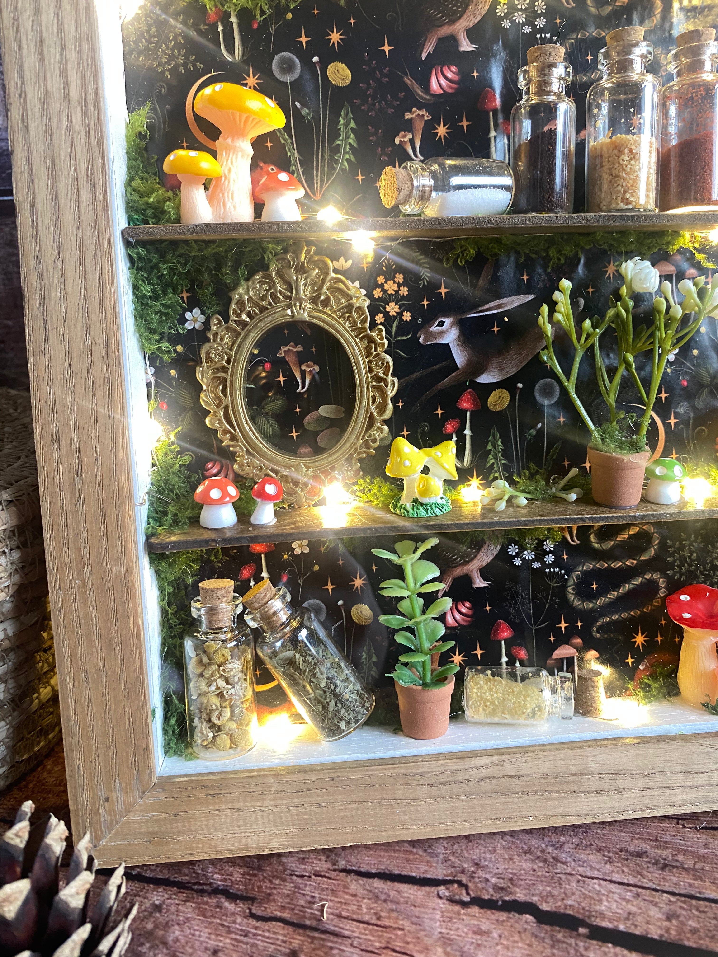 The Starlit Apothecary Shelves