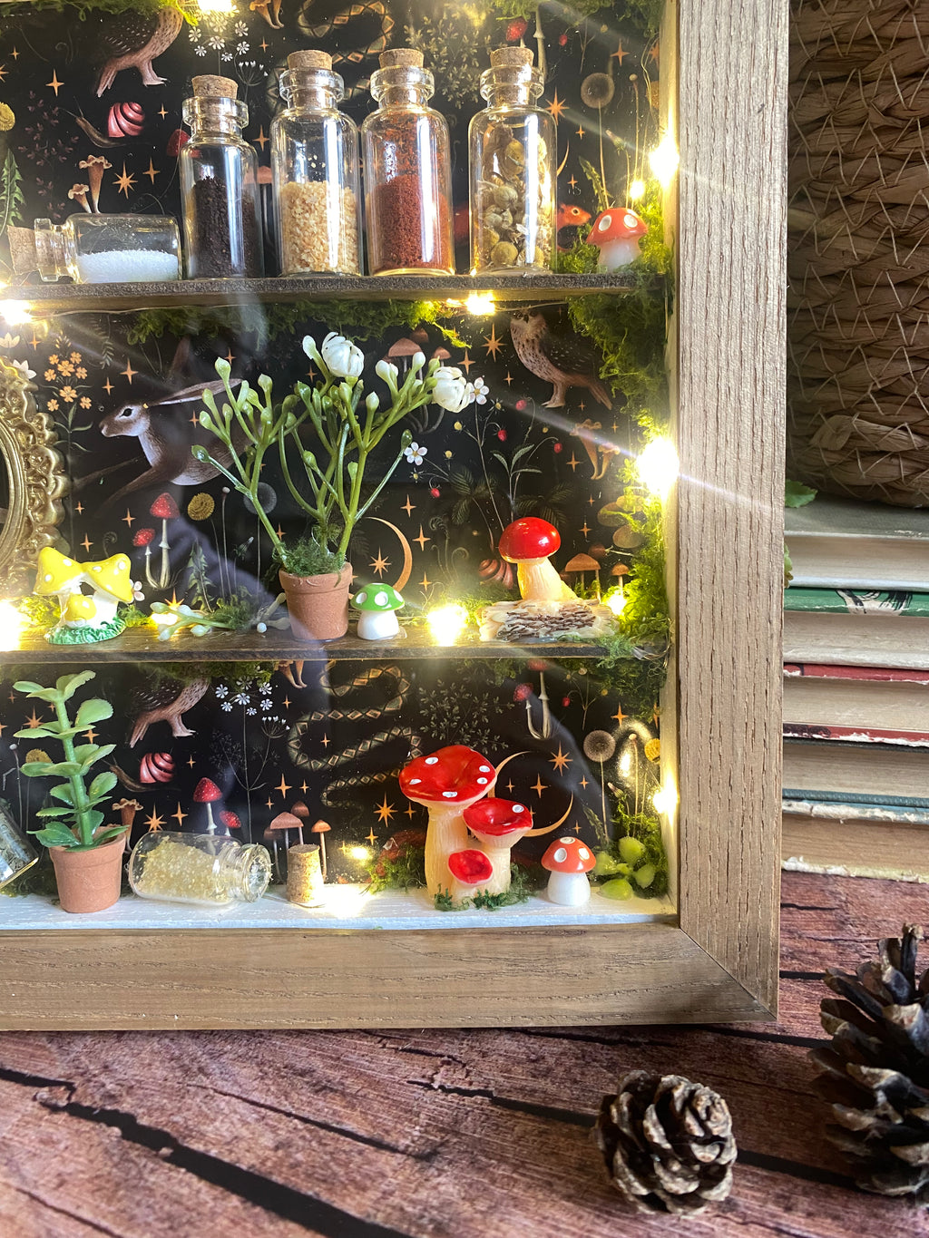The Starlit Apothecary Shelves