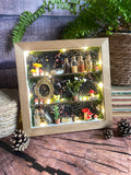 The Starlit Apothecary Shelves