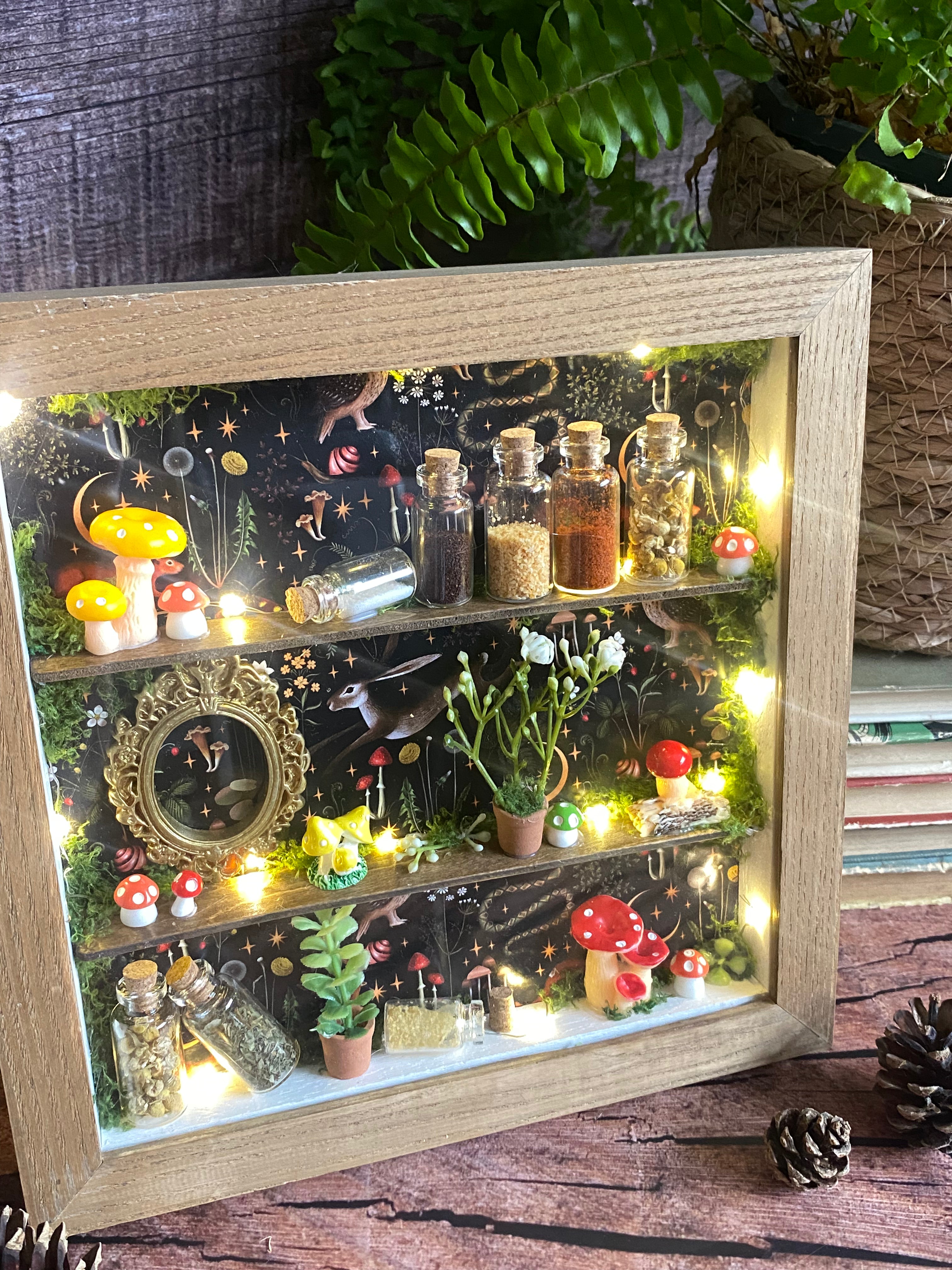 The Starlit Apothecary Shelves