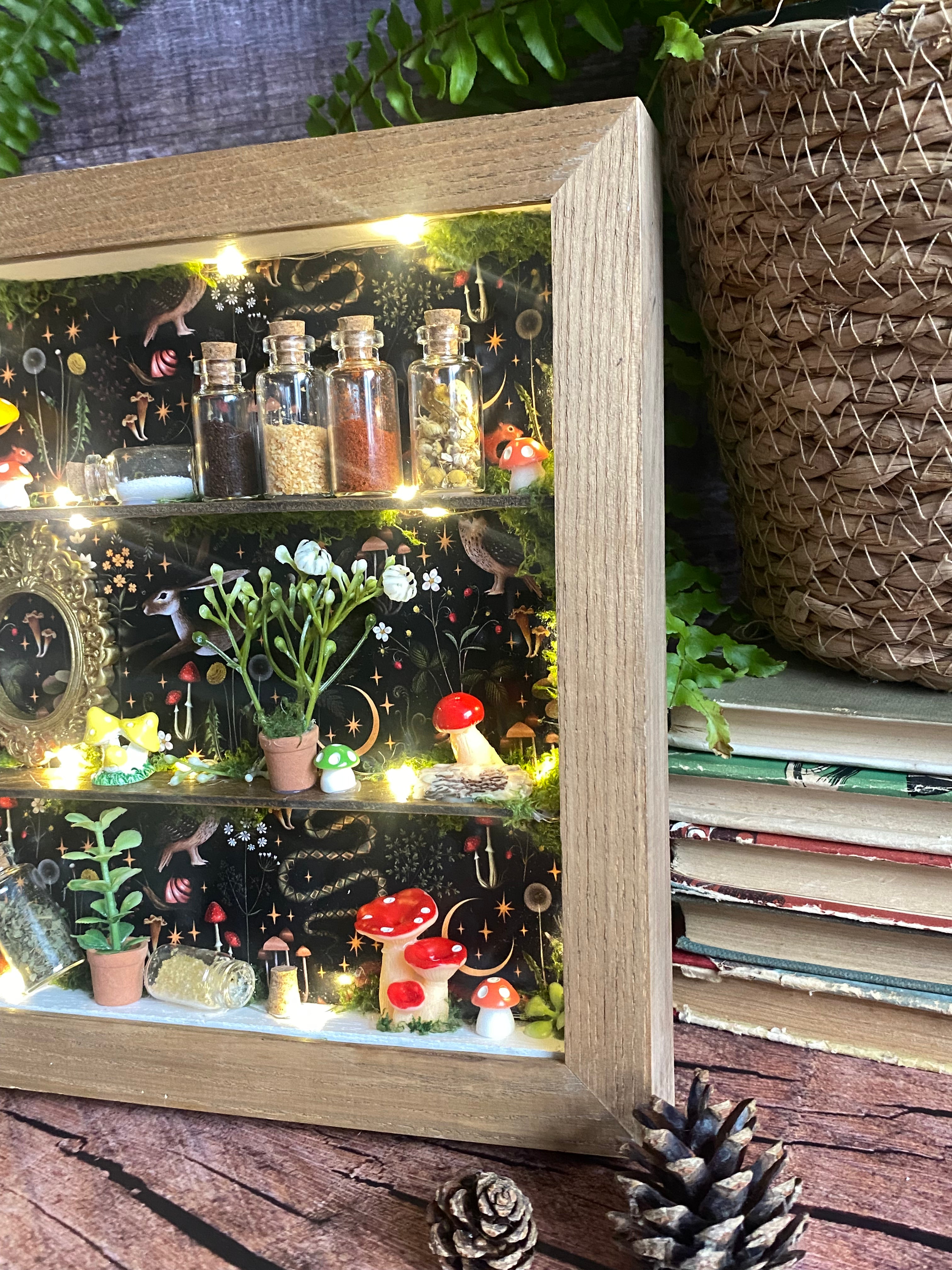 The Starlit Apothecary Shelves