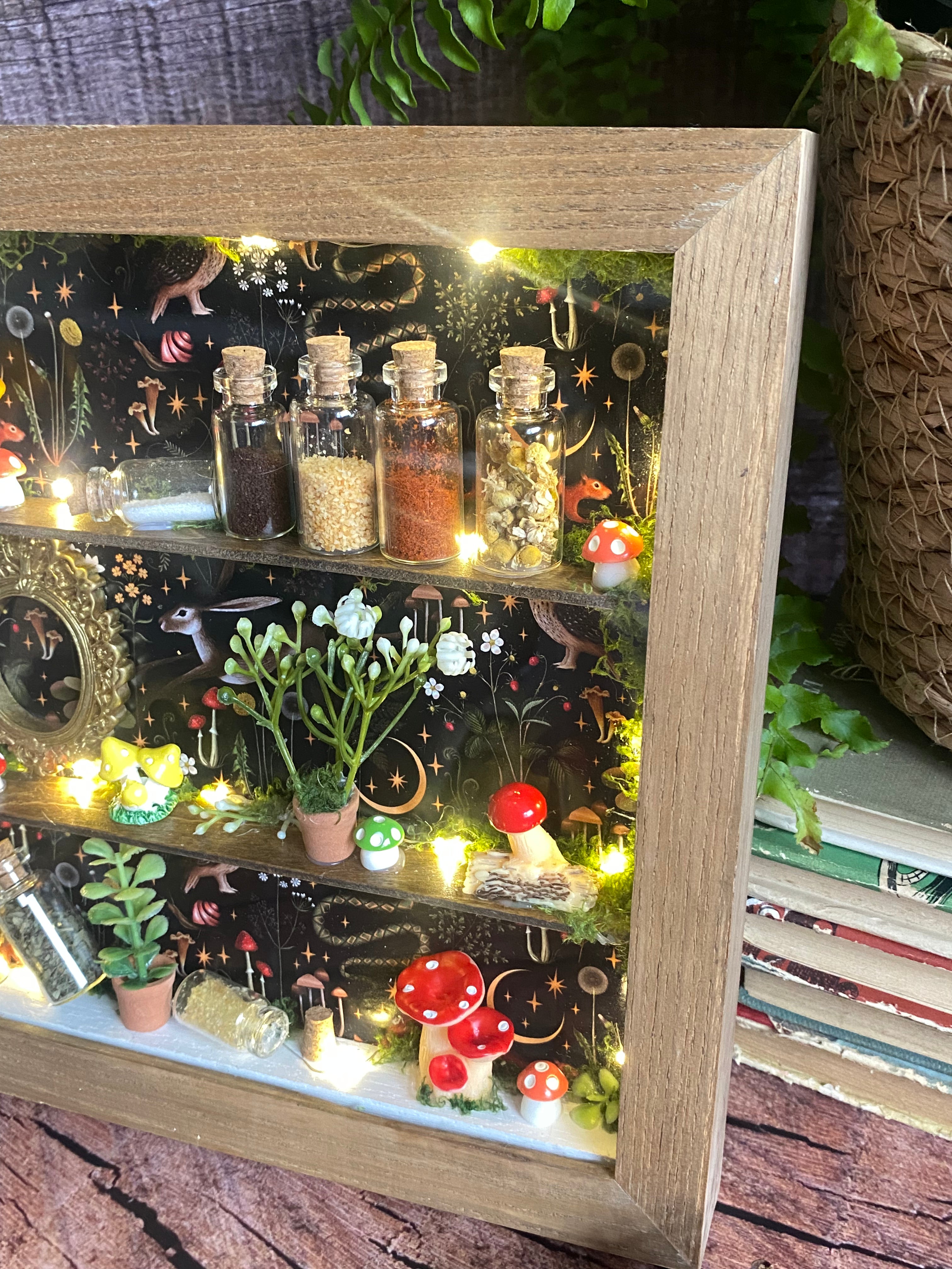 The Starlit Apothecary Shelves