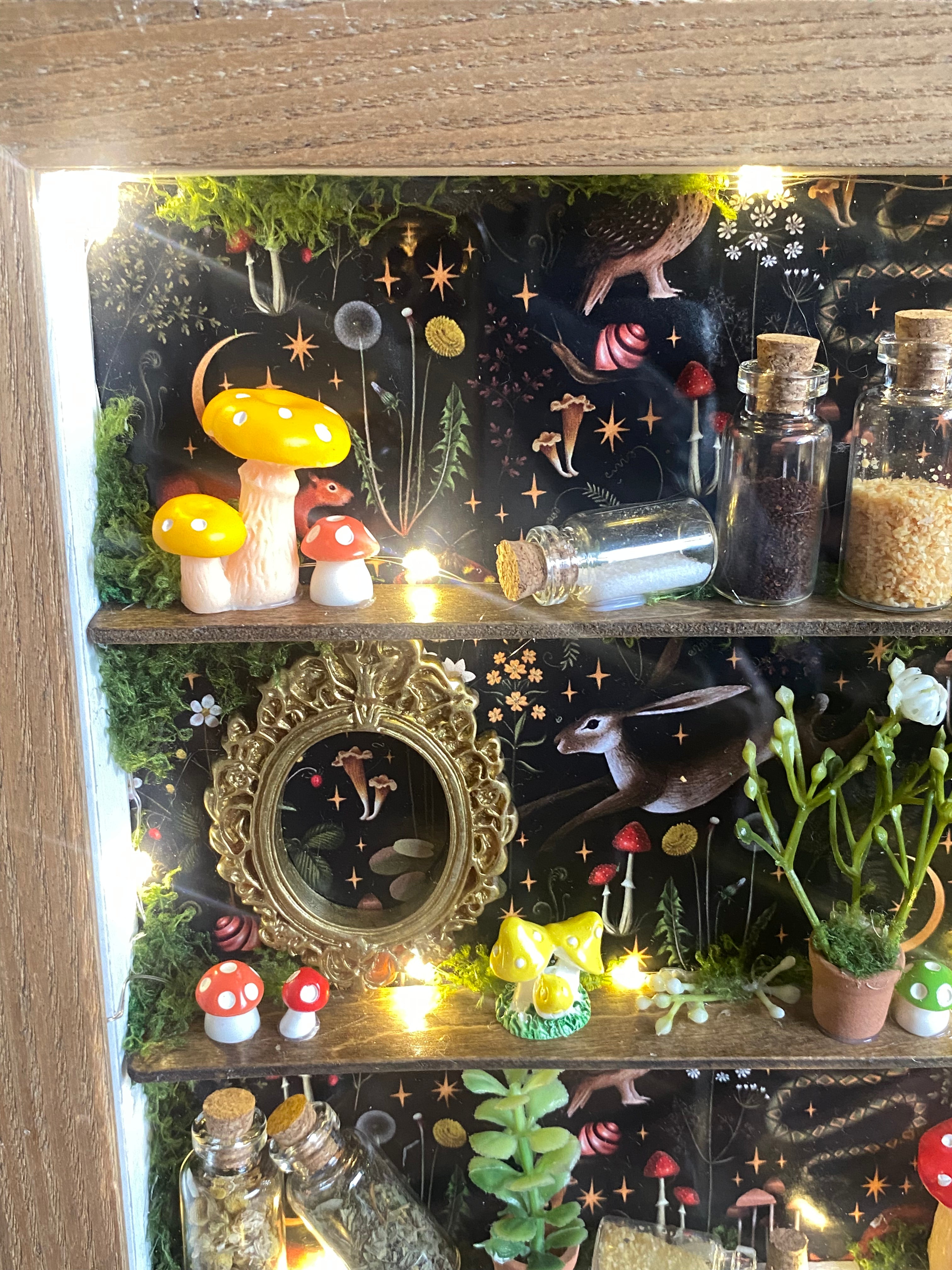The Starlit Apothecary Shelves