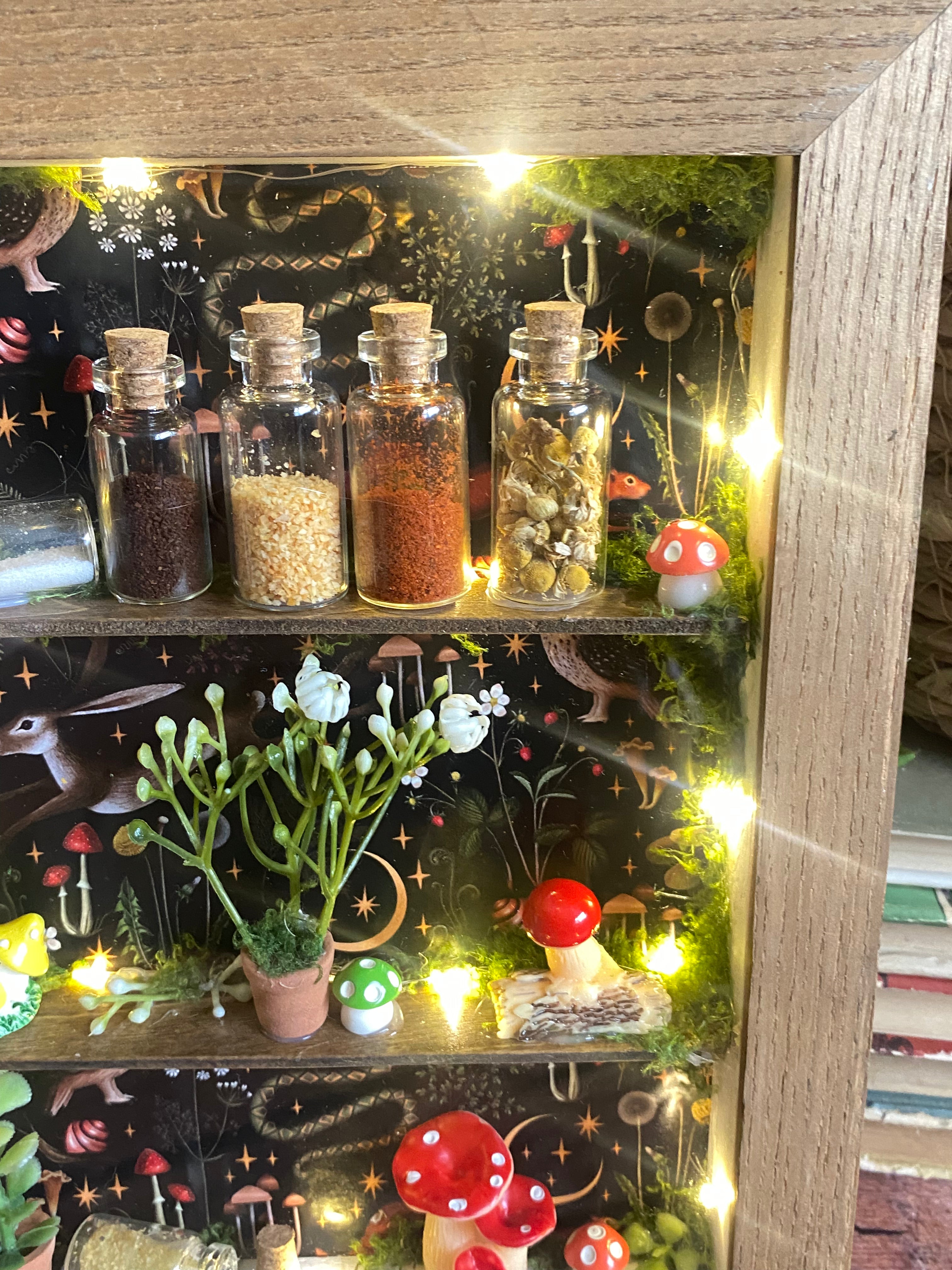 The Starlit Apothecary Shelves