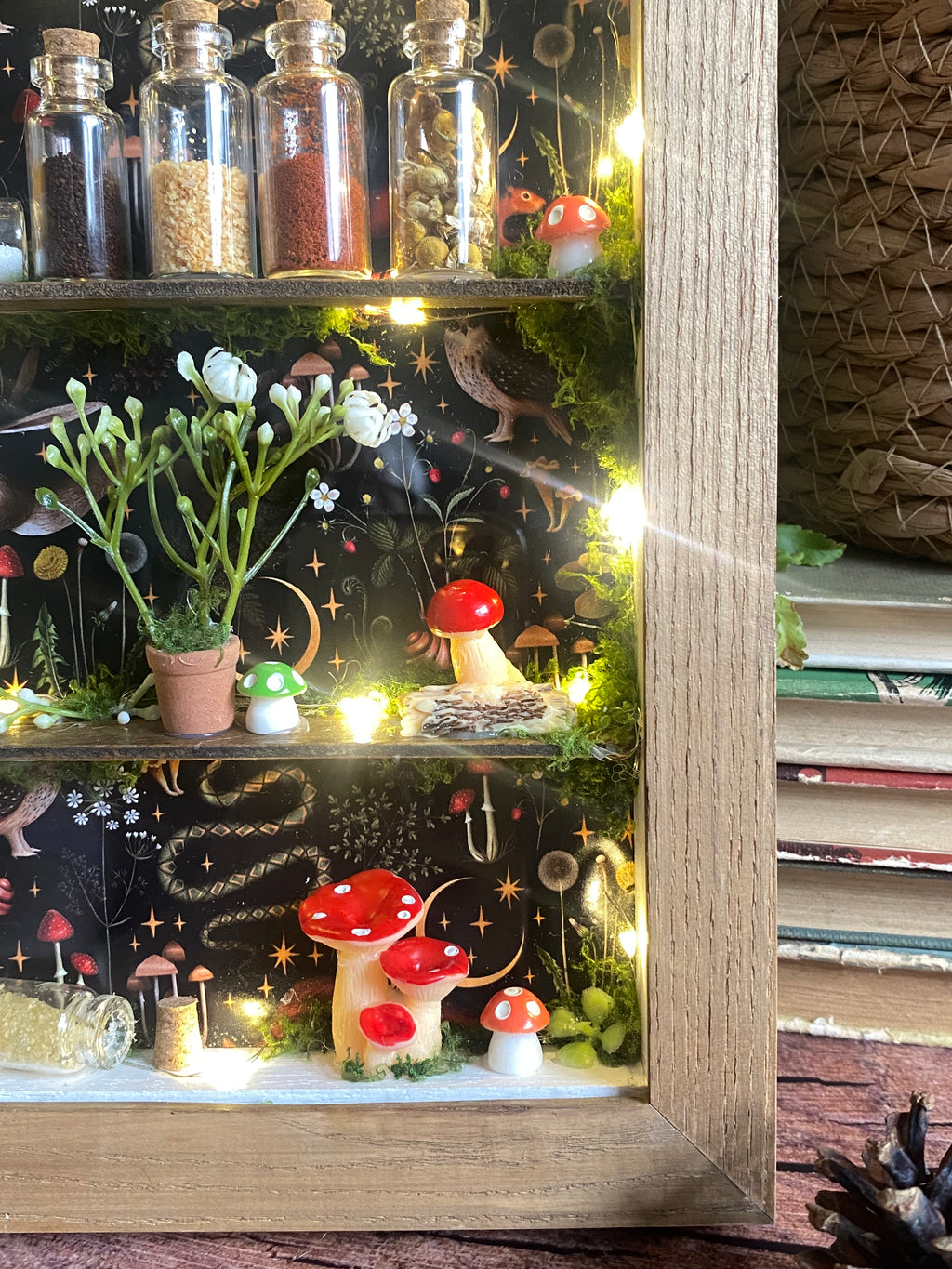 The Starlit Apothecary Shelves