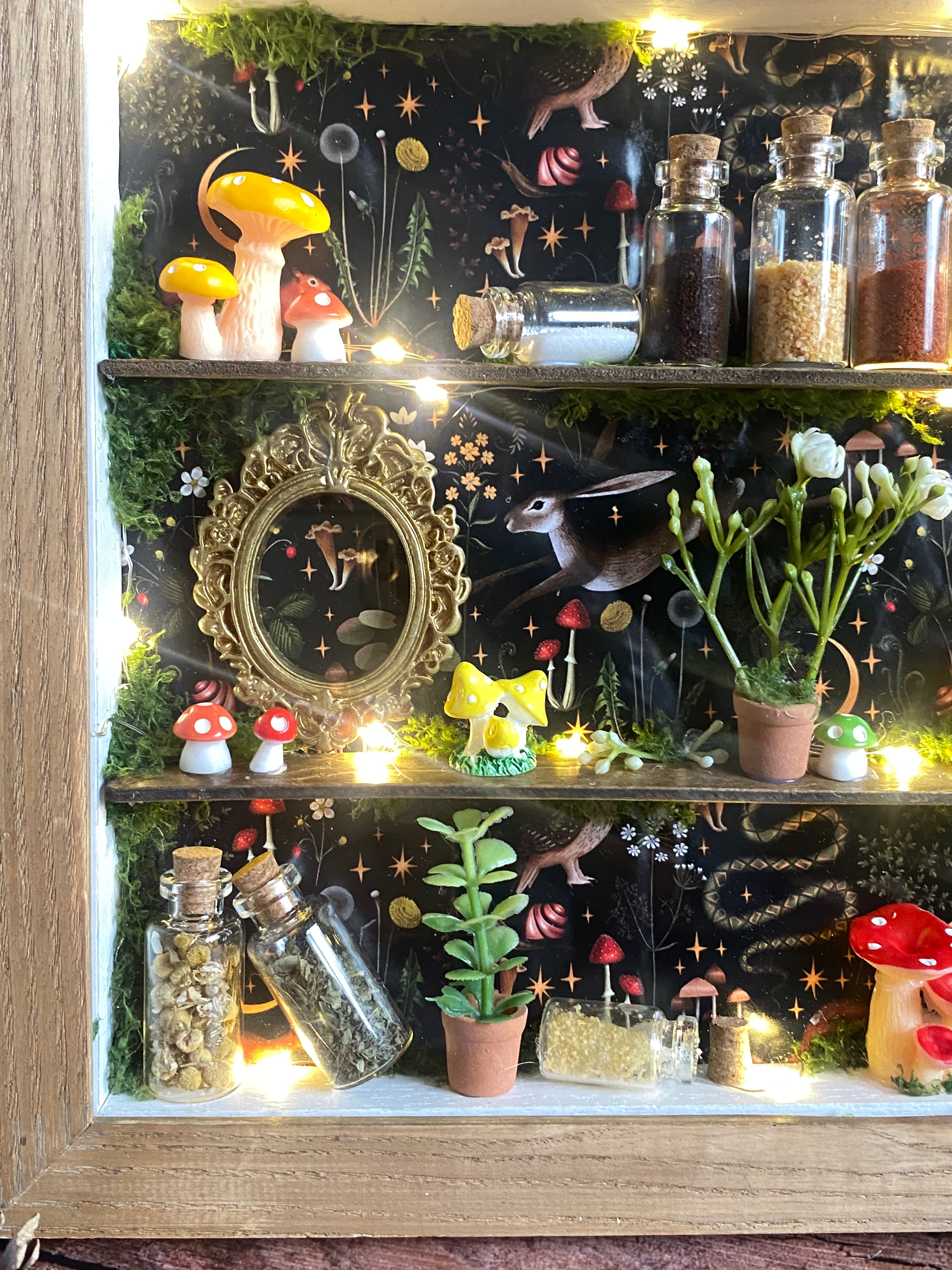 The Starlit Apothecary Shelves