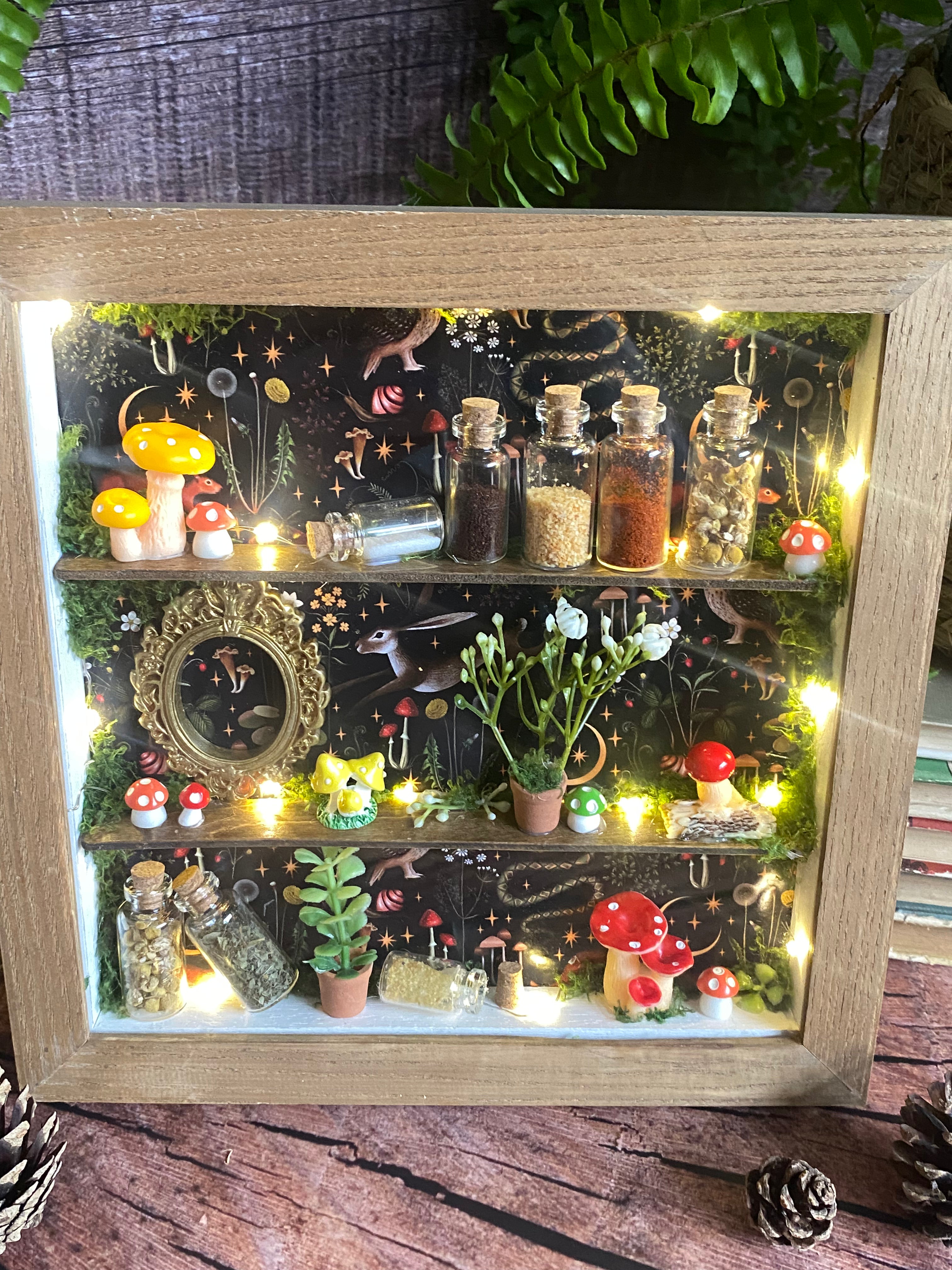 The Starlit Apothecary Shelves