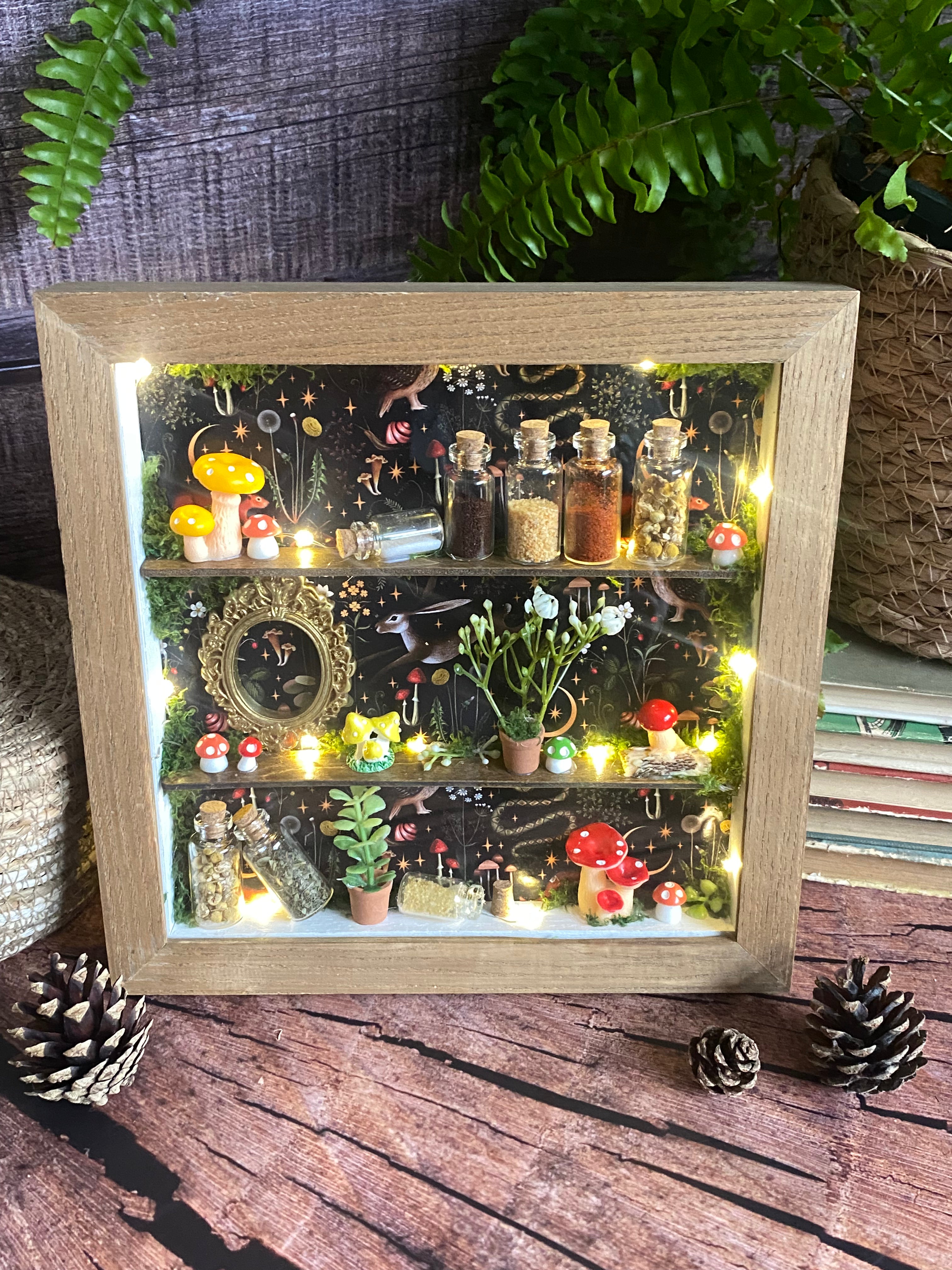 The Starlit Apothecary Shelves