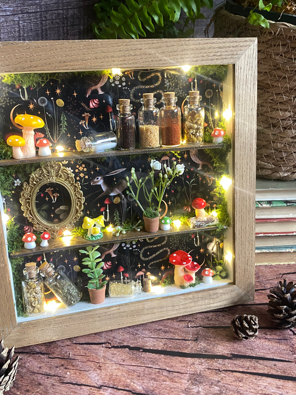 The Starlit Apothecary Shelves