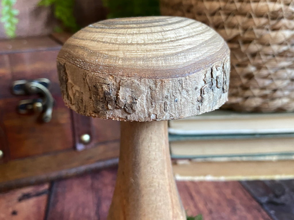 Woodland mushroom sculpture 16cm