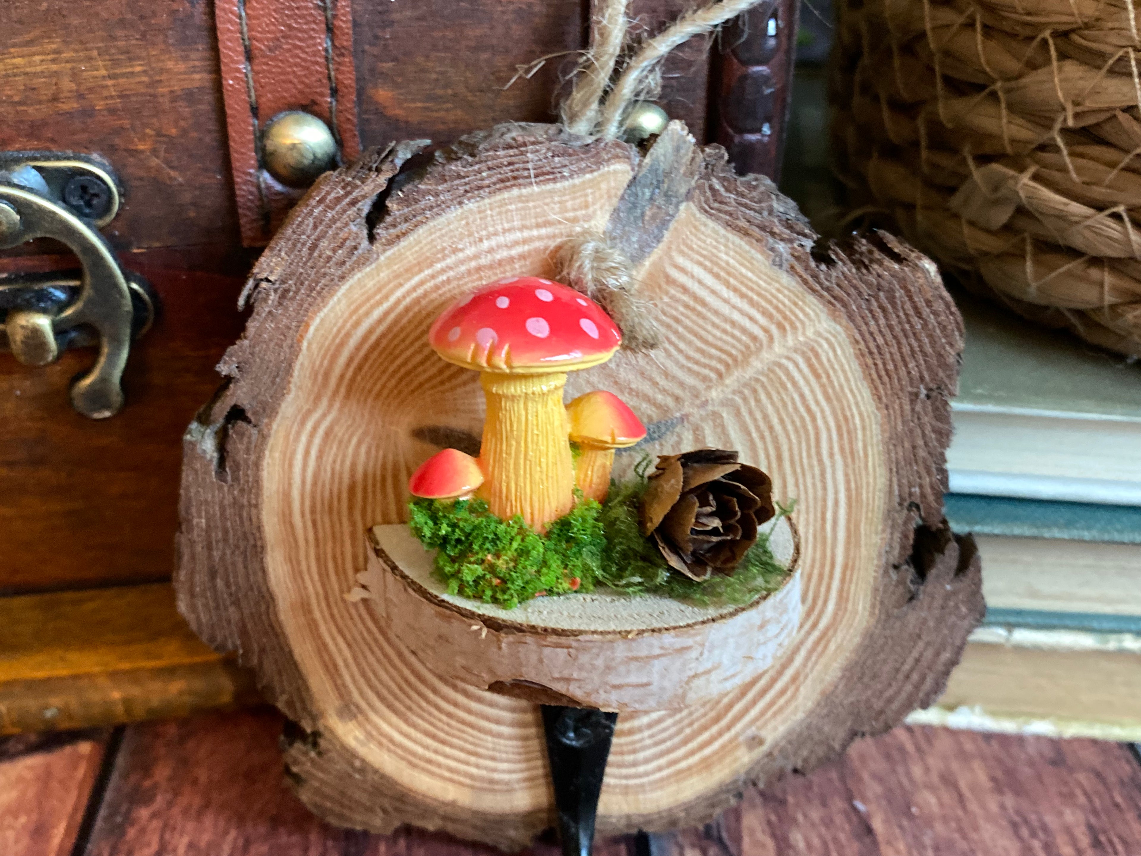 Sunset mushrooms hook