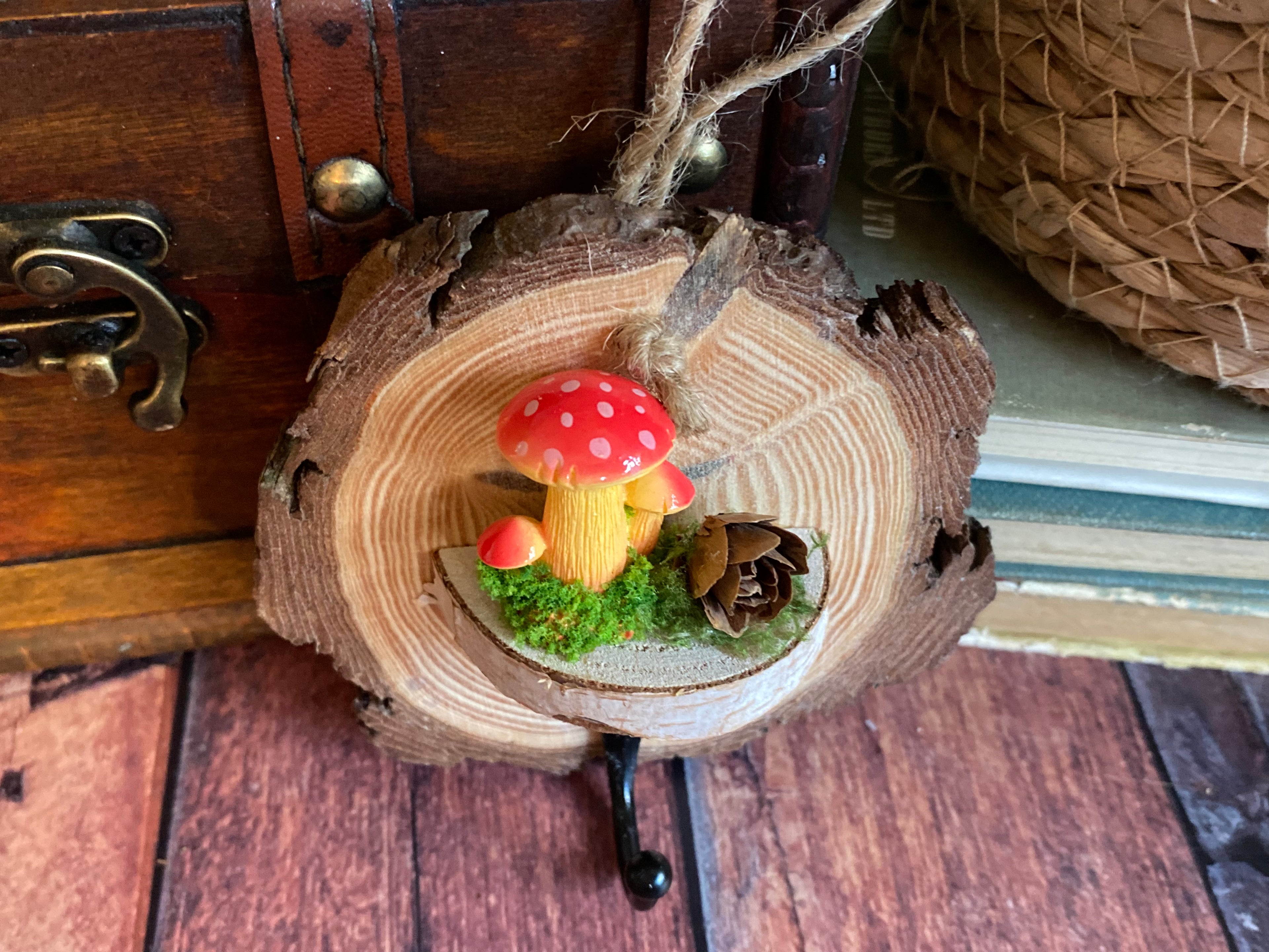 Sunset mushrooms hook