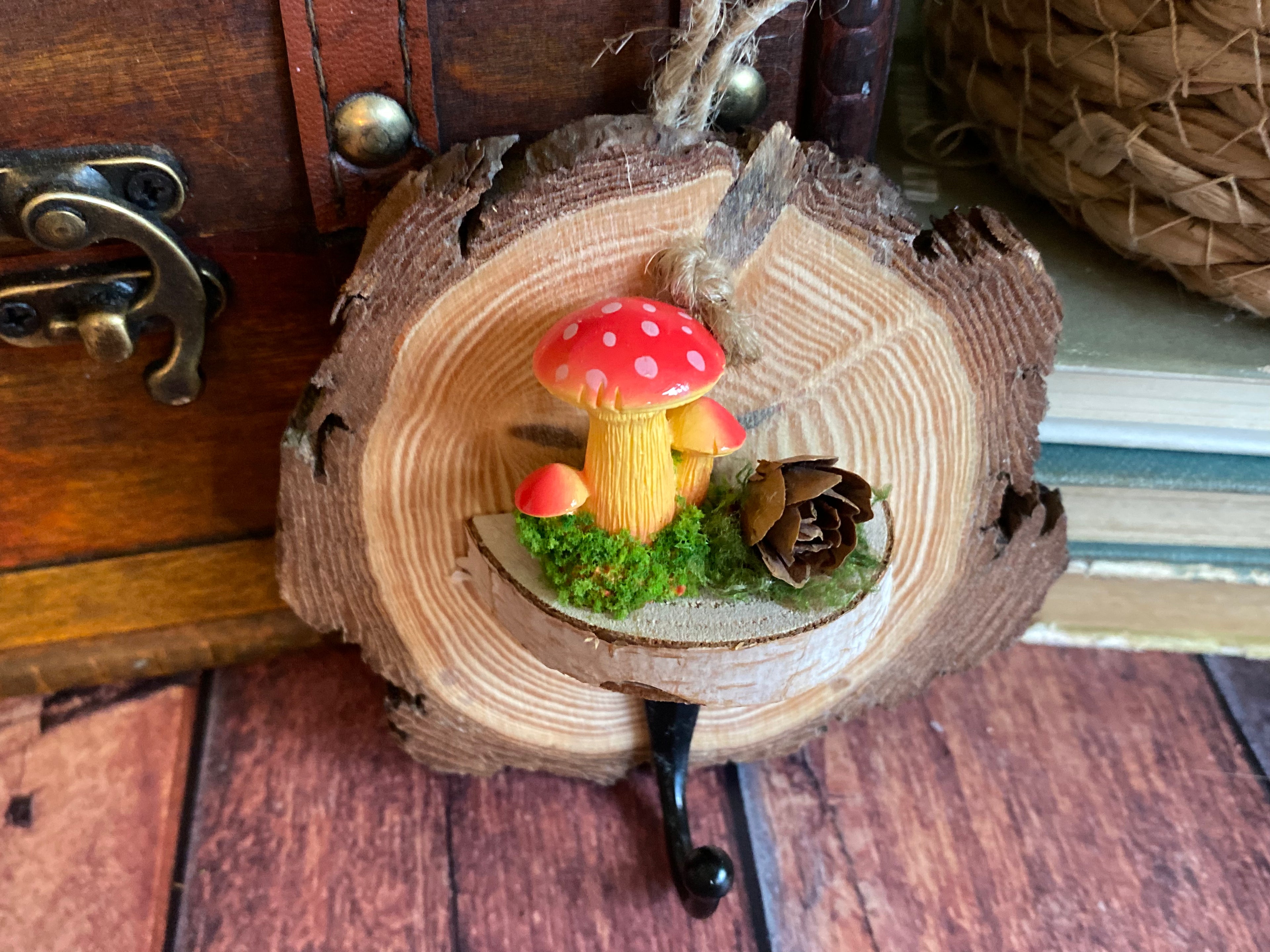 Sunset mushrooms hook