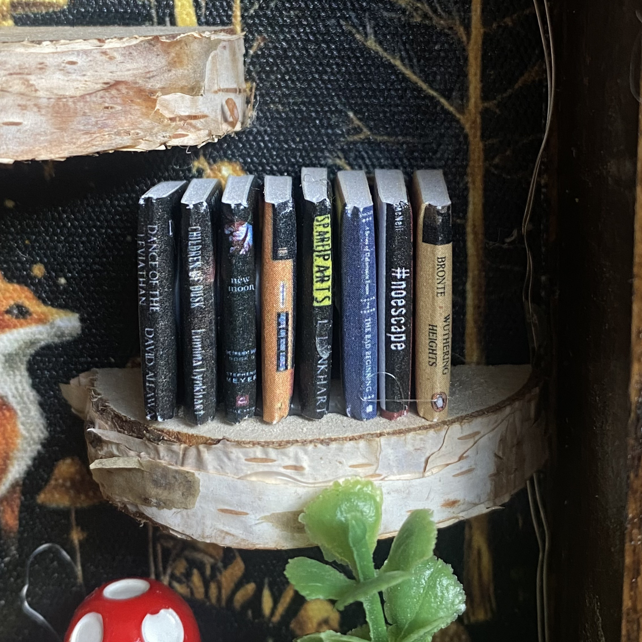 The Potions & Peace Book Nook